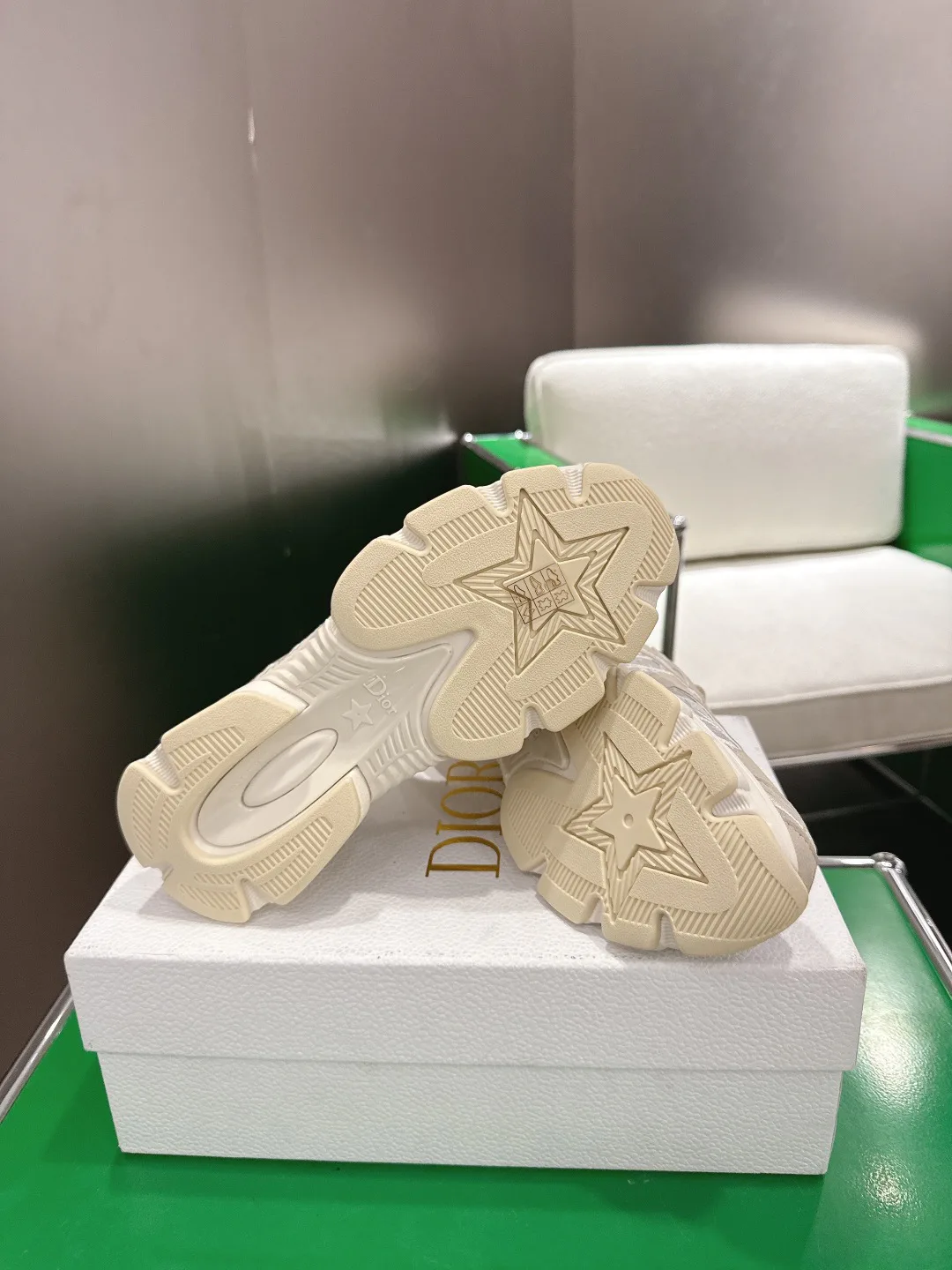 Кроссовки Женские Christian Dior 13152697