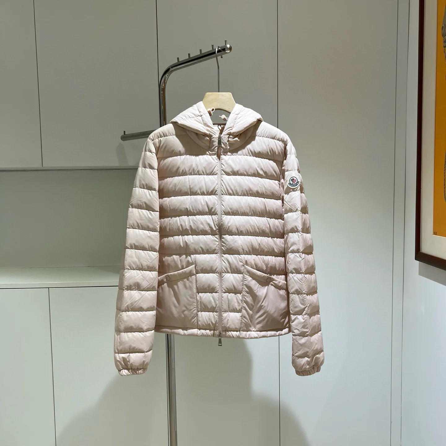 Куртки И Пуховики Женские Moncler 18180099