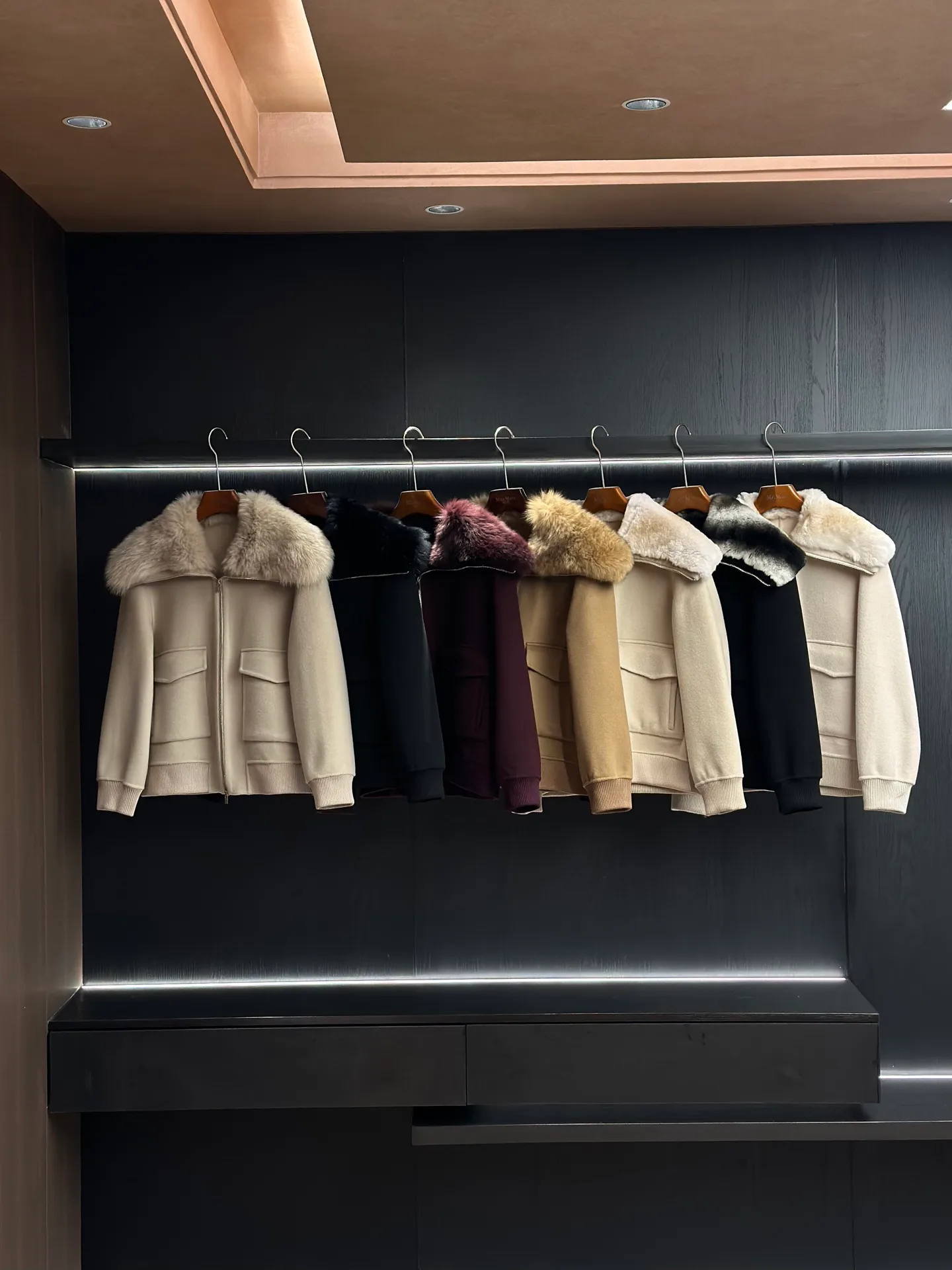 Куртки И Пуховики Женские Loro Piana 19438561