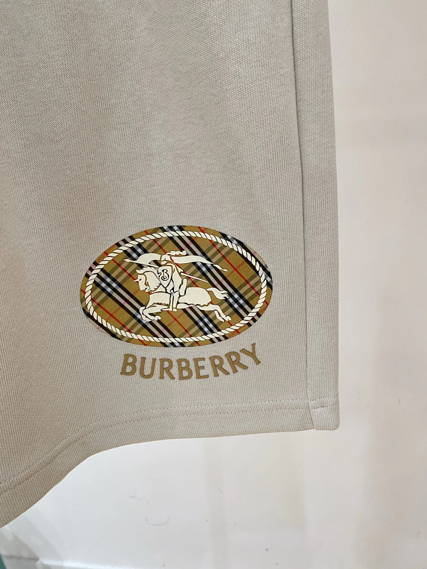 Шорты Мужские Burberry 18246958