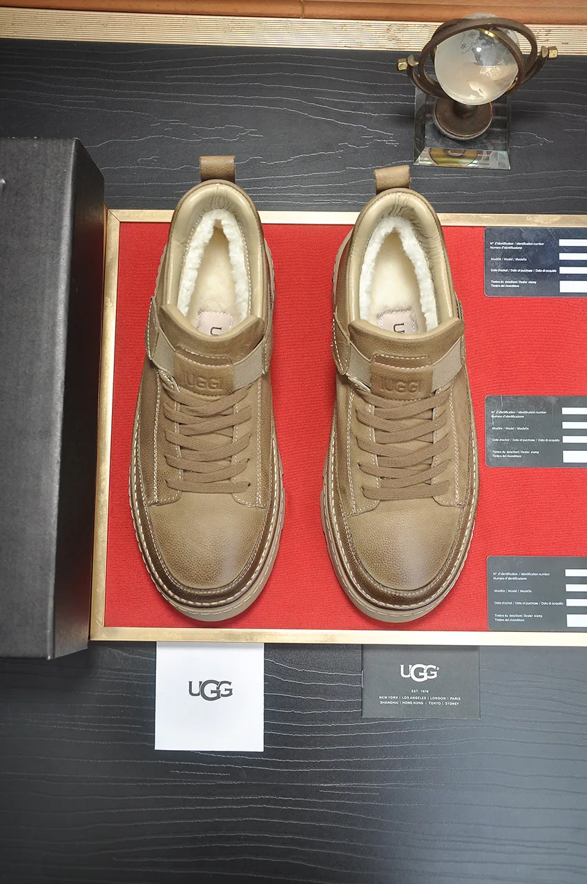 Ботинки Мужские Ugg 211445