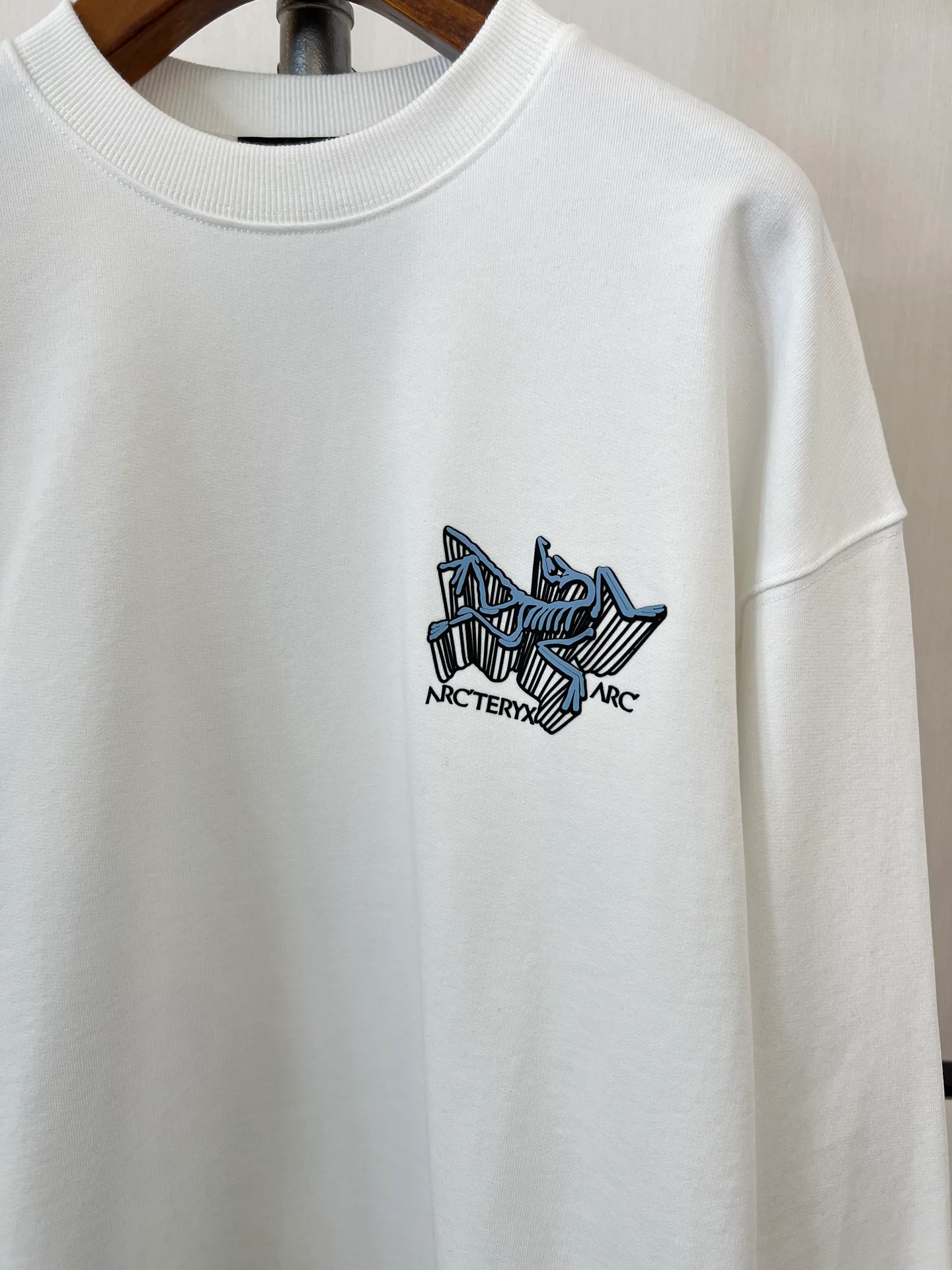 Свитшоты И Худи Мужские Arcteryx 18699488