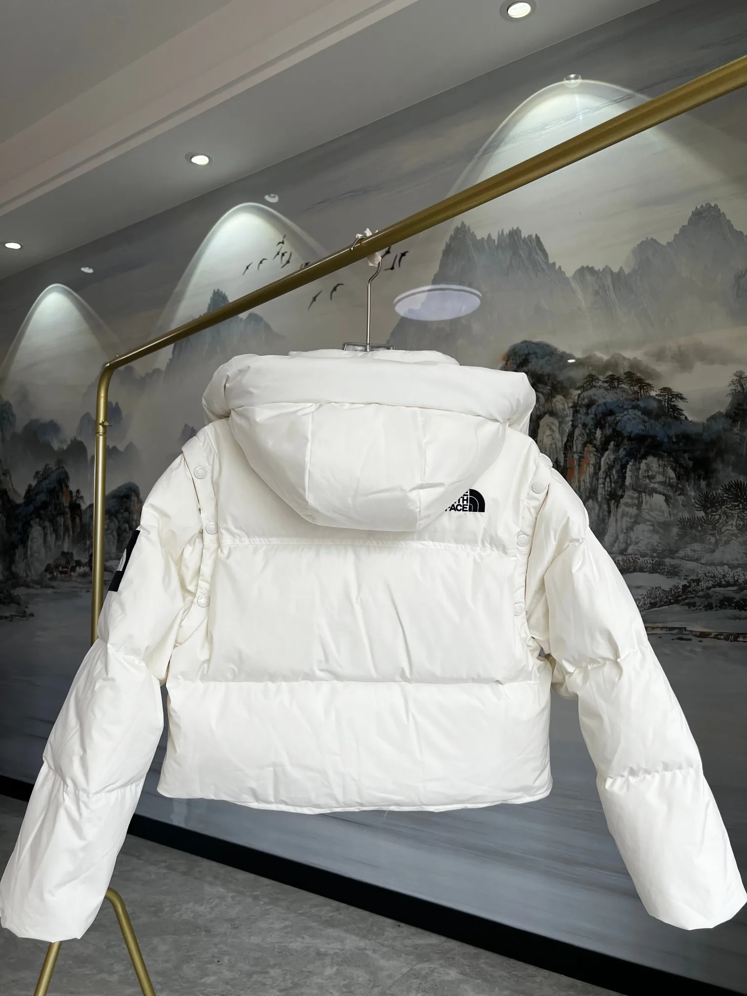 Куртки И Пуховики Женские The North Face 18415959