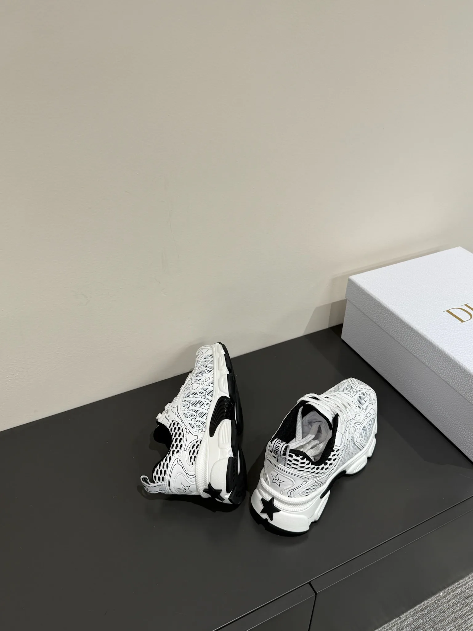 Кроссовки Женские Christian Dior 34045