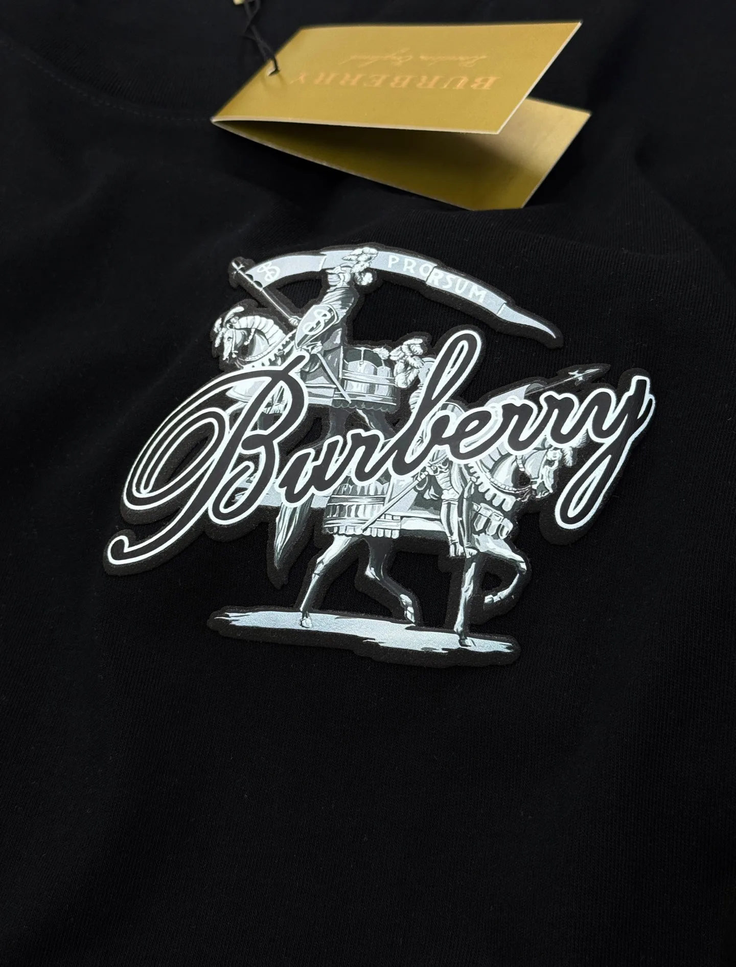 Футболки Женские Burberry 13293378