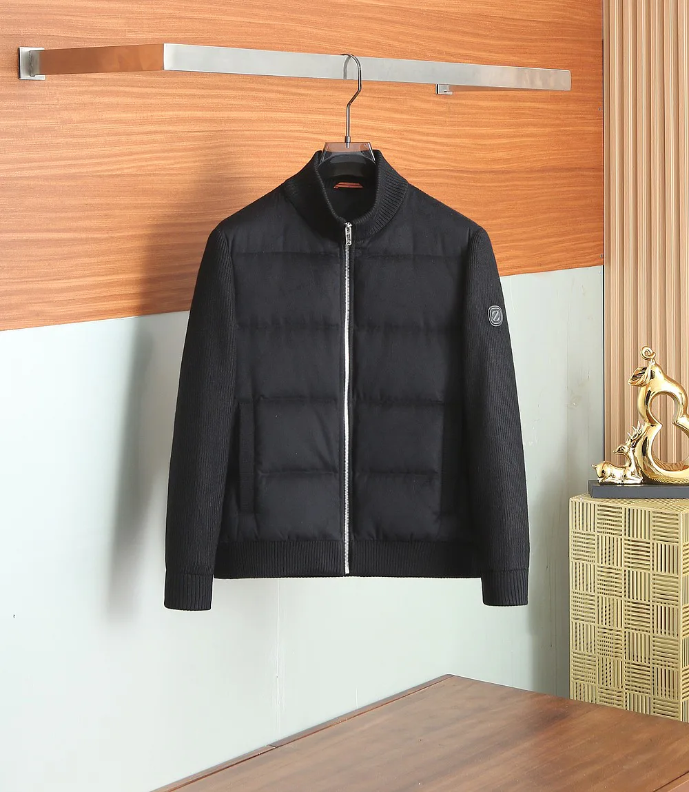Куртки И Пуховики Мужские Zegna 607819