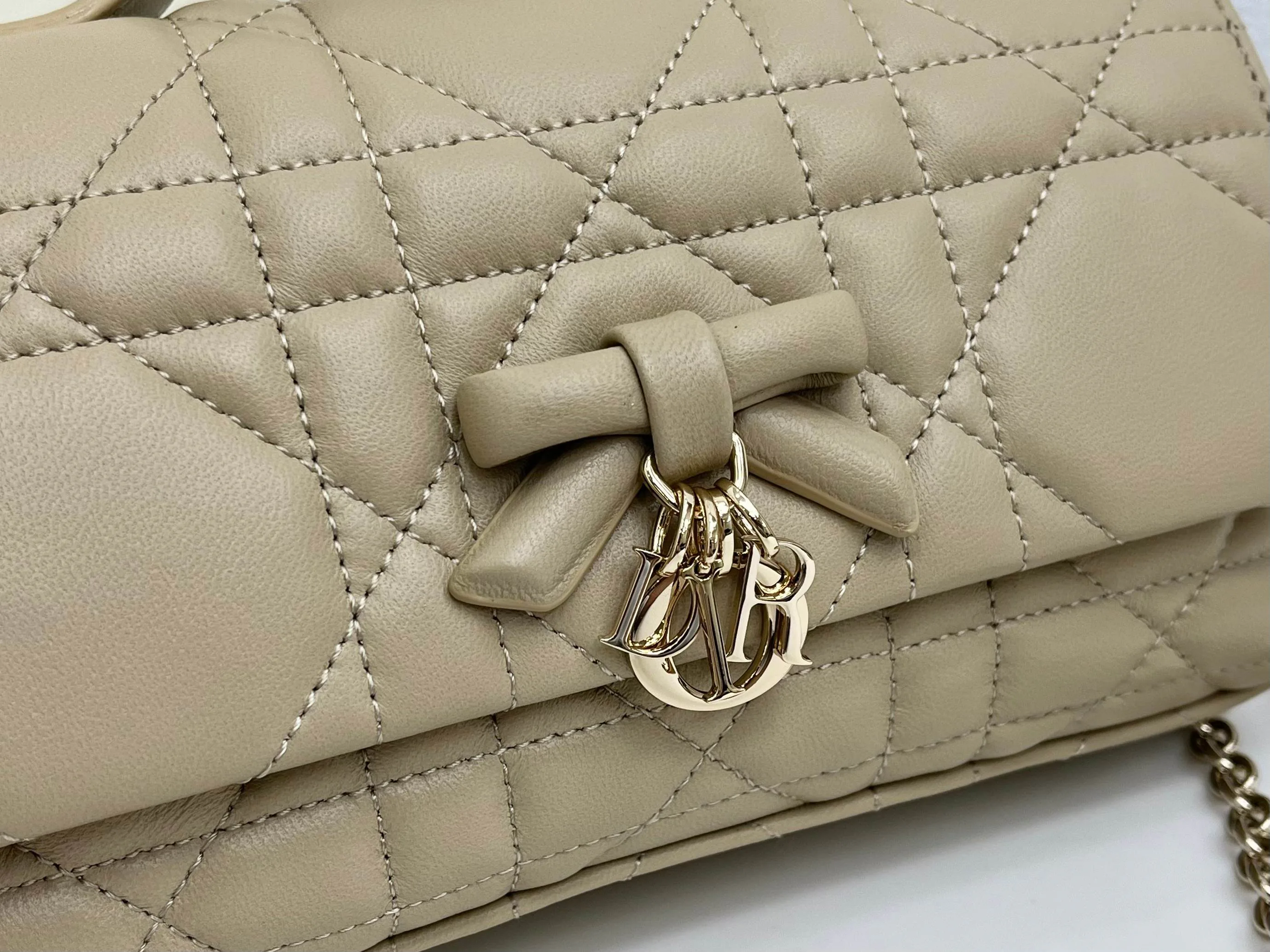 Классические Сумки Женские Christian Dior 17463900