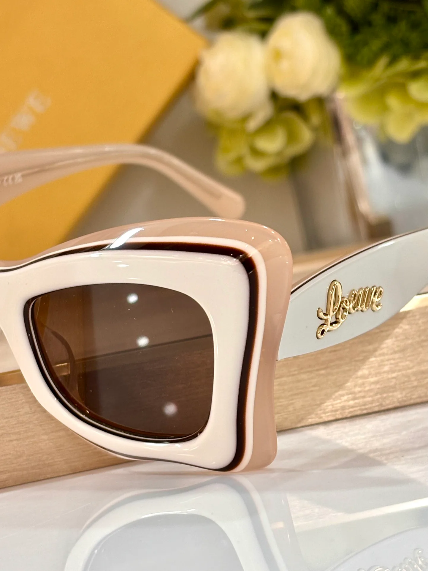 Очки Loewe 1241683