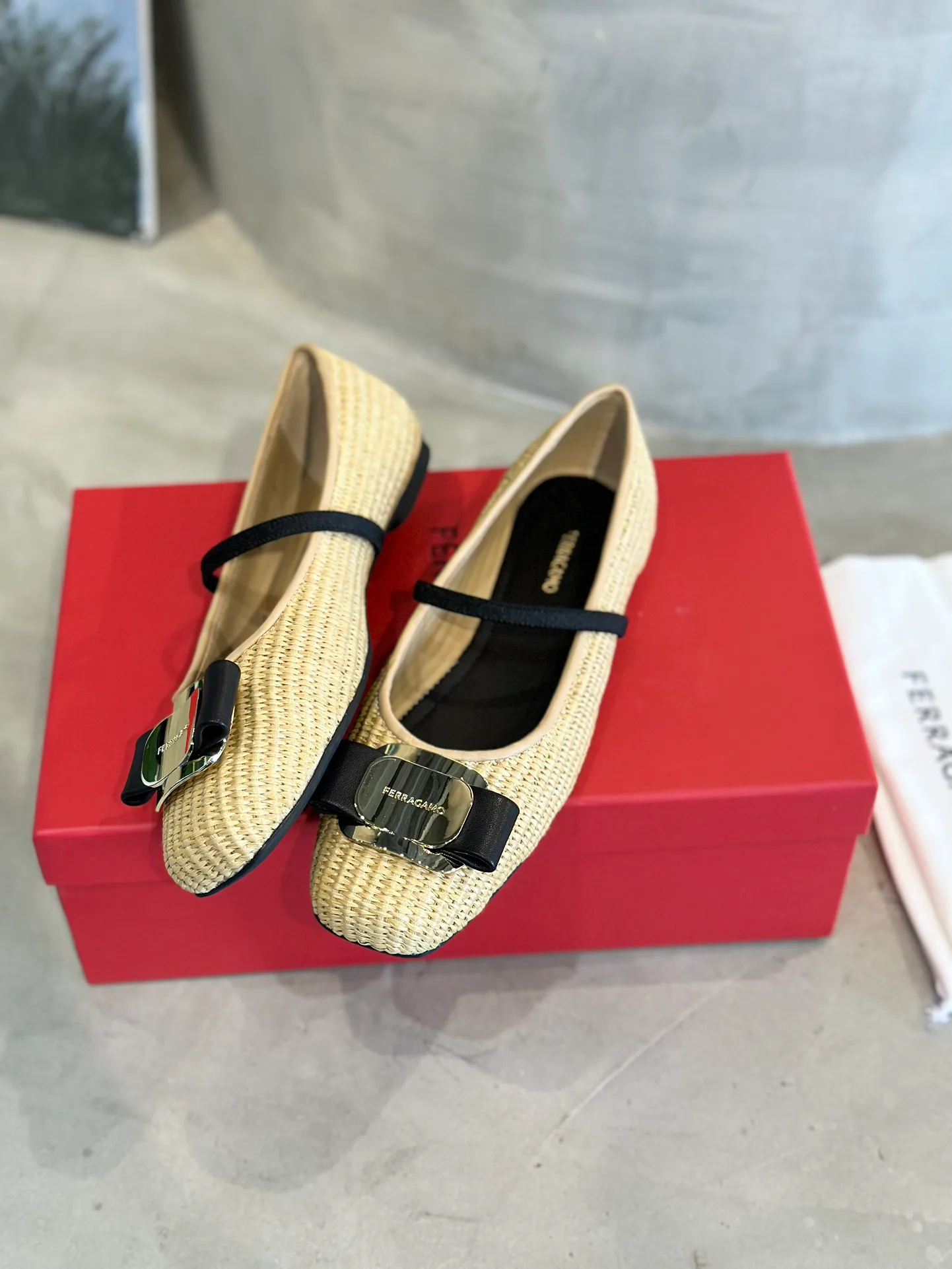 Балетки Женские Salvatore Ferragamo 13600370