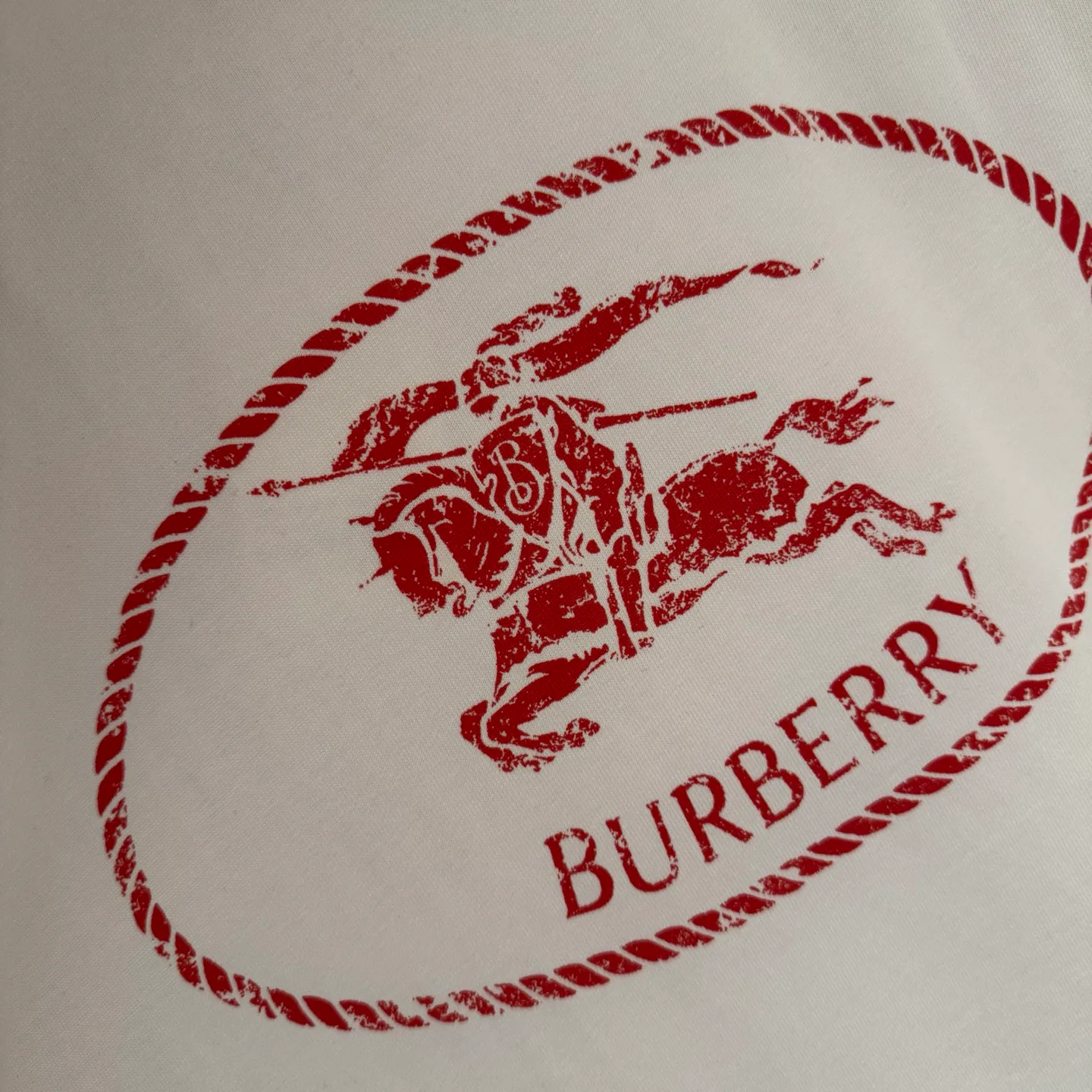Футболки Мужские Burberry 12001604