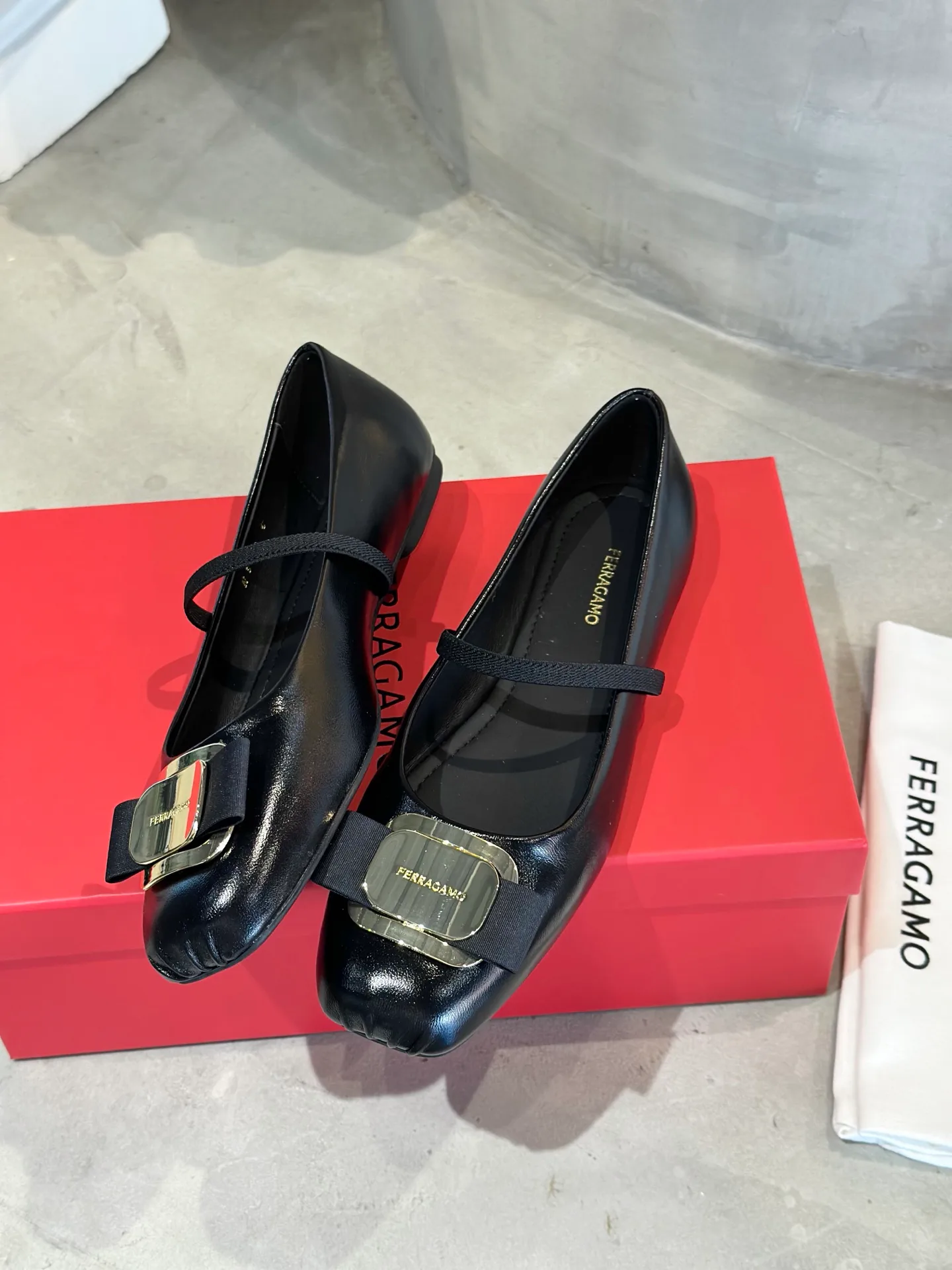Балетки Женские Salvatore Ferragamo 16891076
