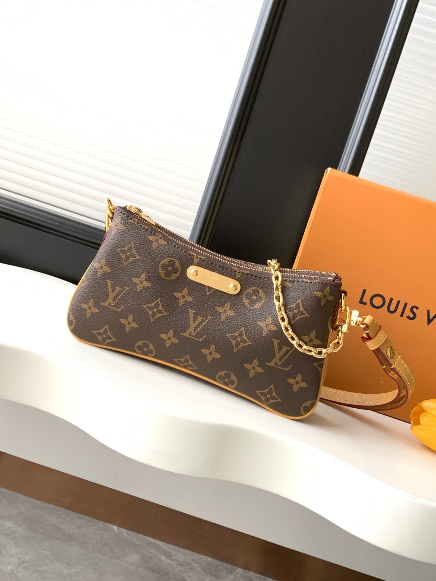 Классические Сумки Женские Louis Vuitton 18153209