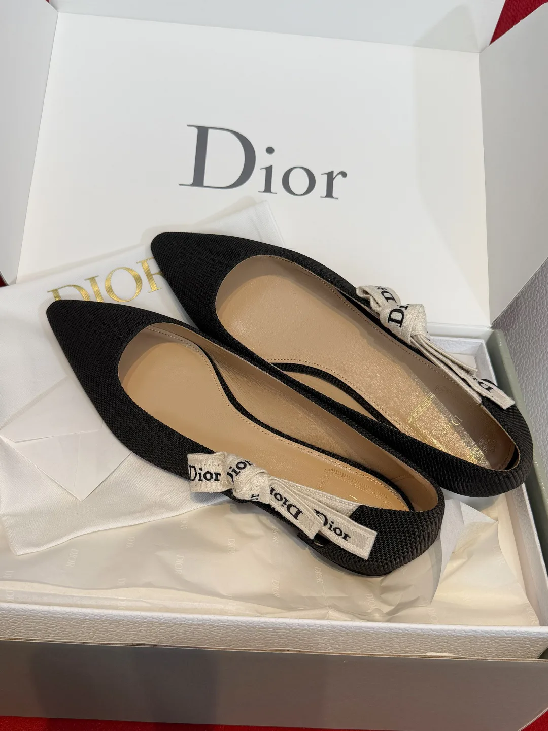 Туфли Женские Christian Dior 13569602
