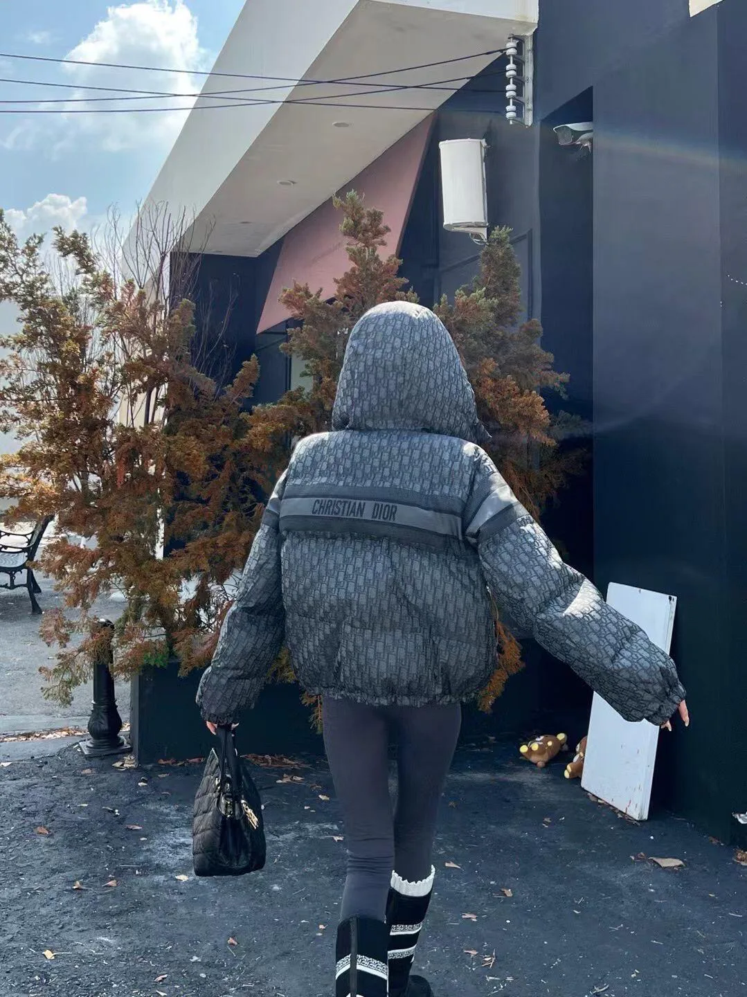 Куртки И Пуховики Женские Christian Dior 289152