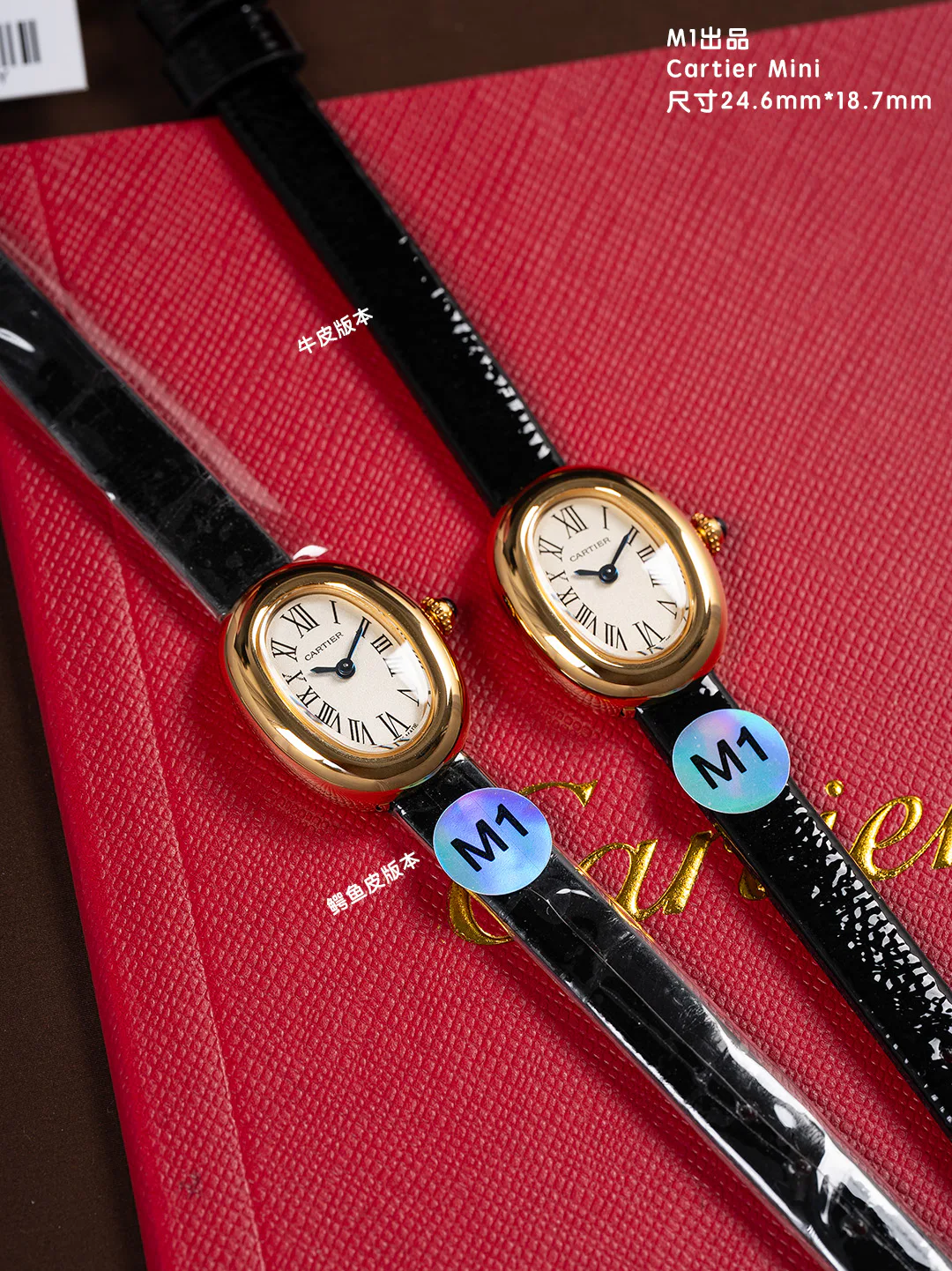 Часы Женские Cartier 13066792