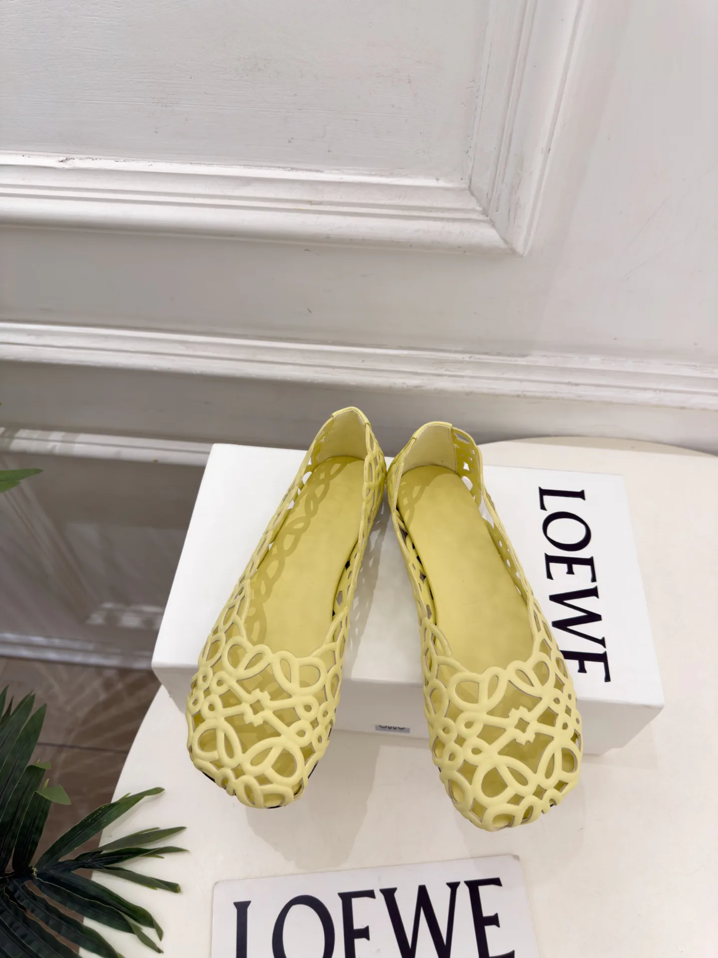 Балетки Женские Loewe 18198362