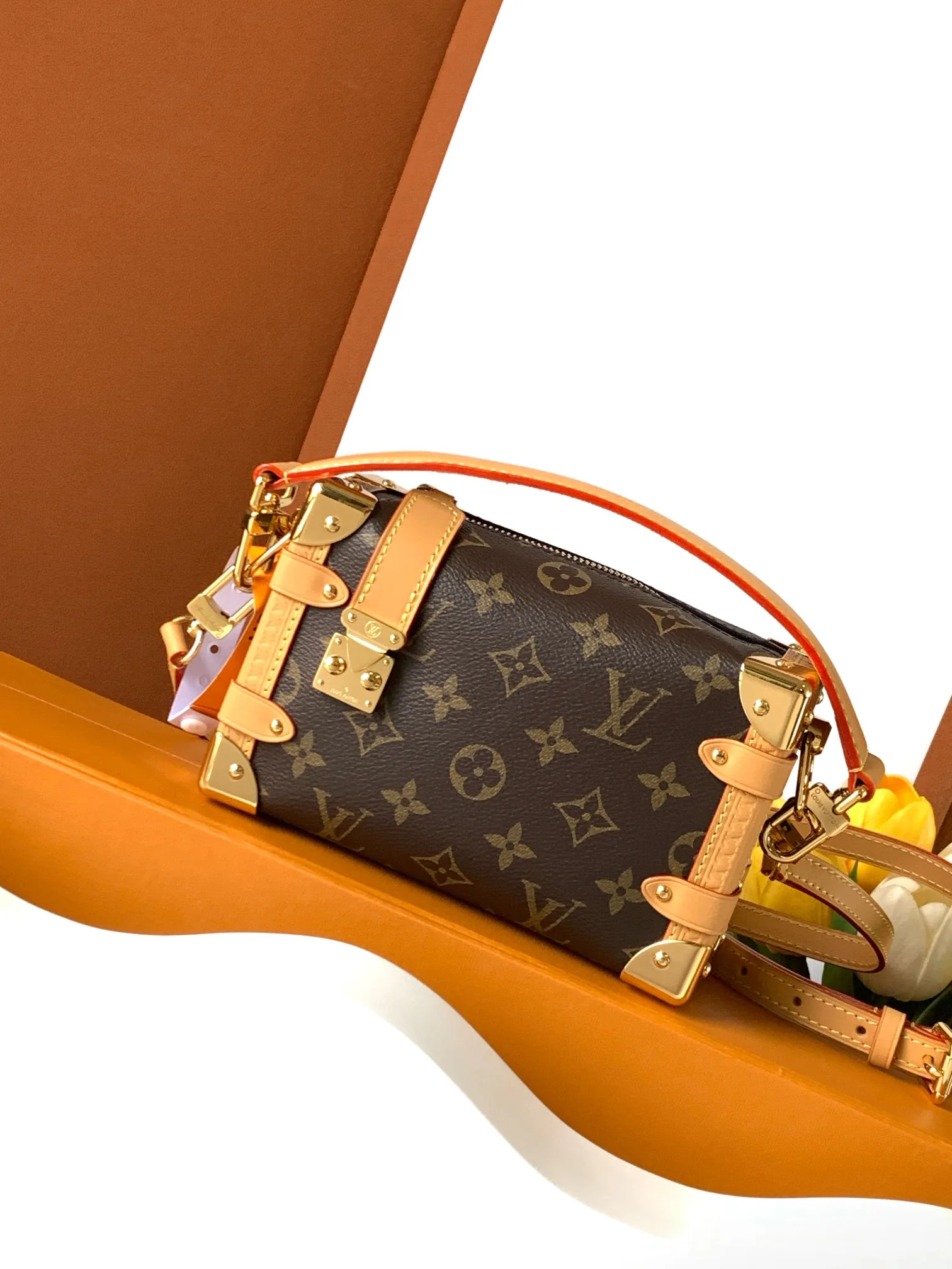 Классические Сумки Женские Louis Vuitton 13394400