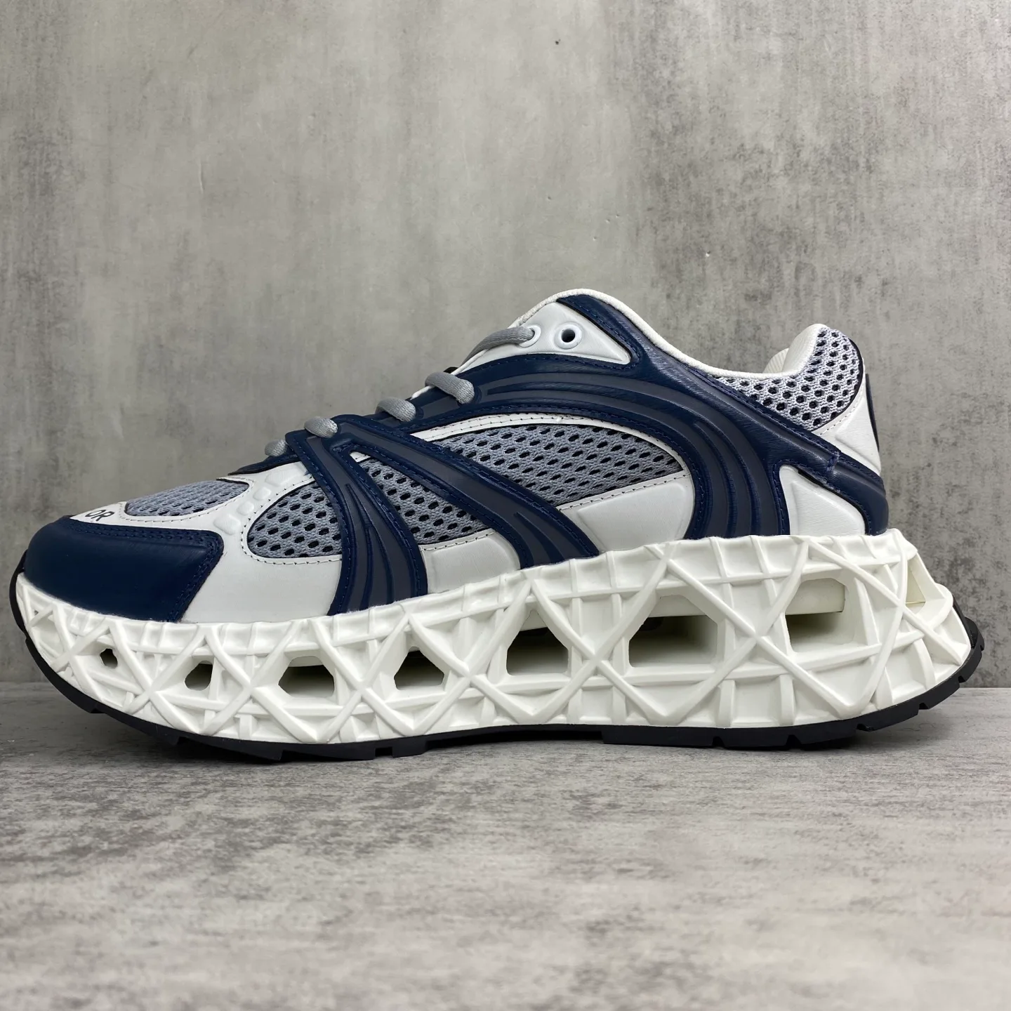 Кроссовки Женские Christian Dior 476861