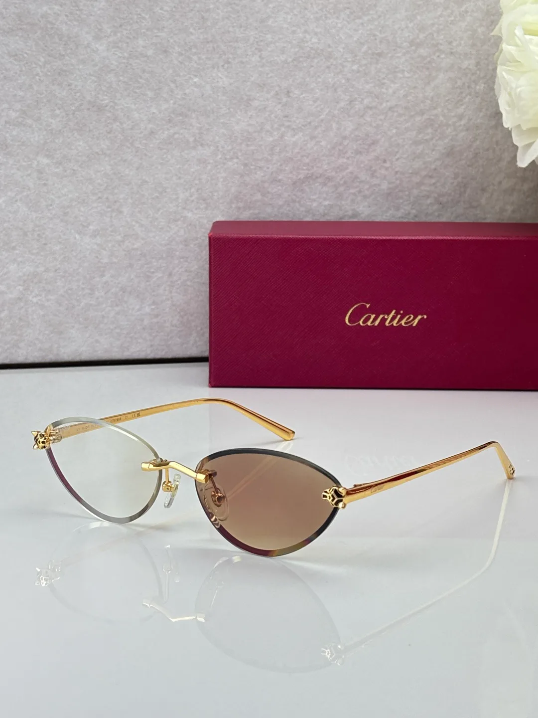 Очки Cartier 18441803