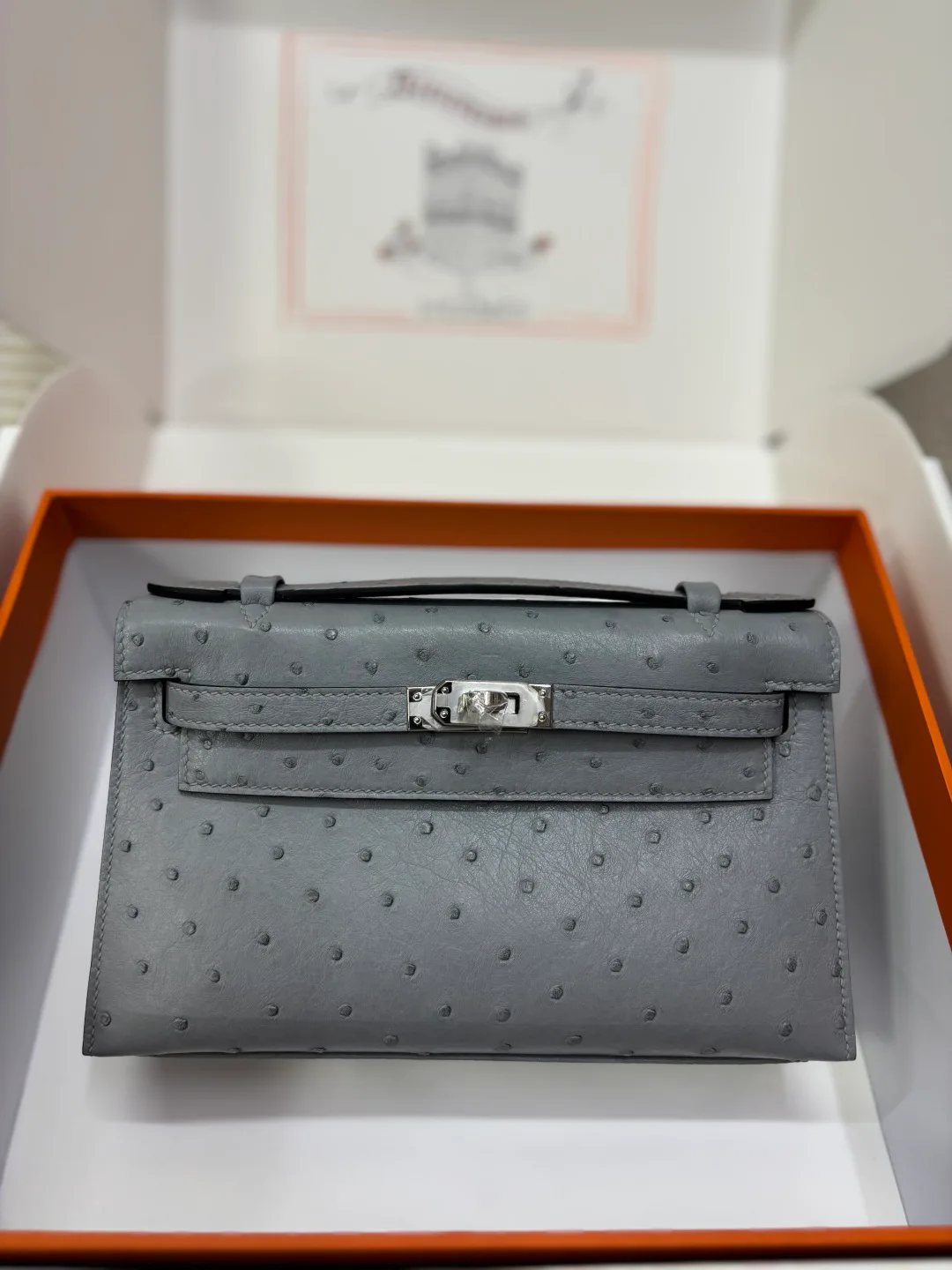 Клатчи Женские Hermes 15119754