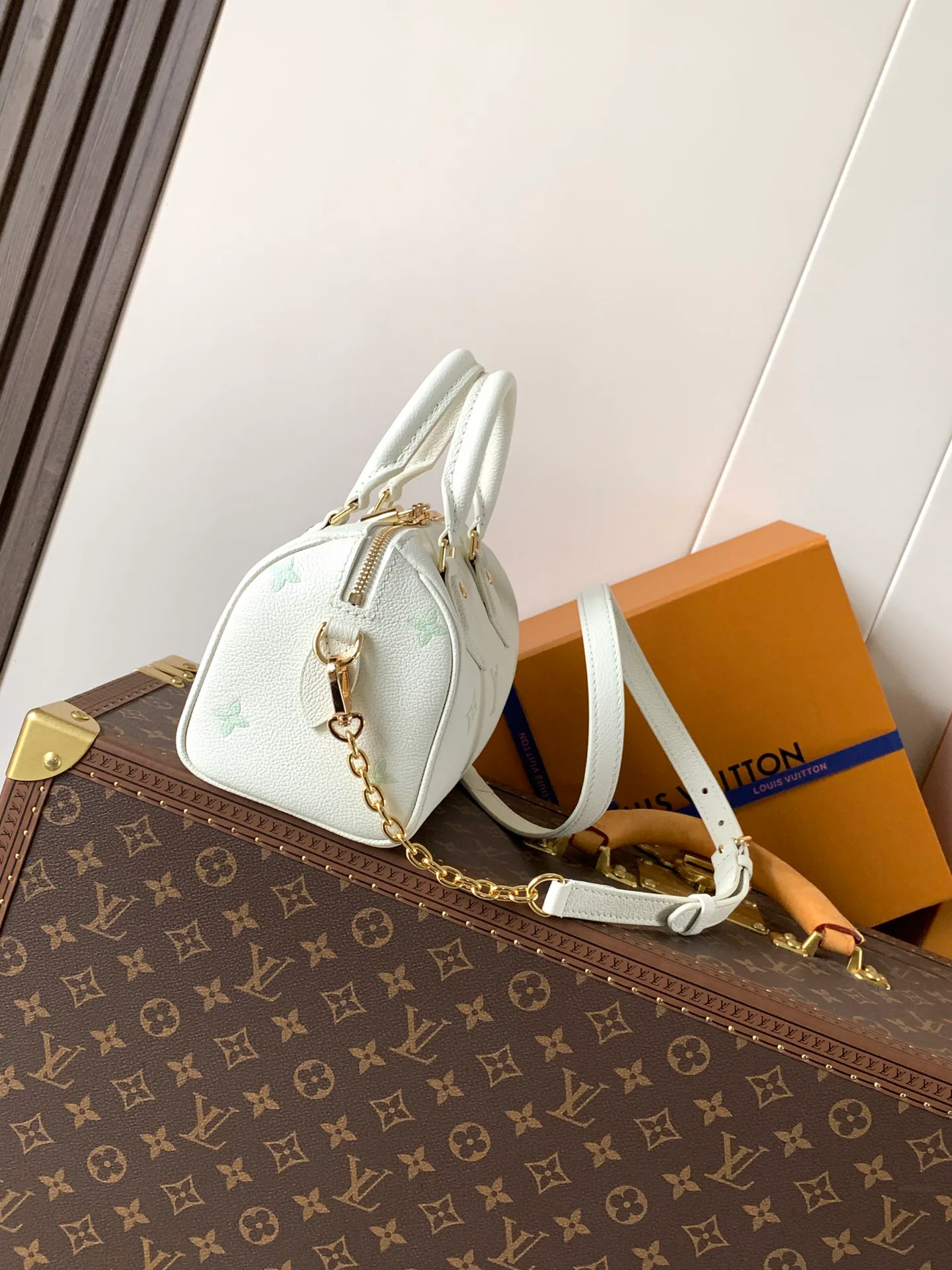 Классические Сумки Женские Louis Vuitton 11872293