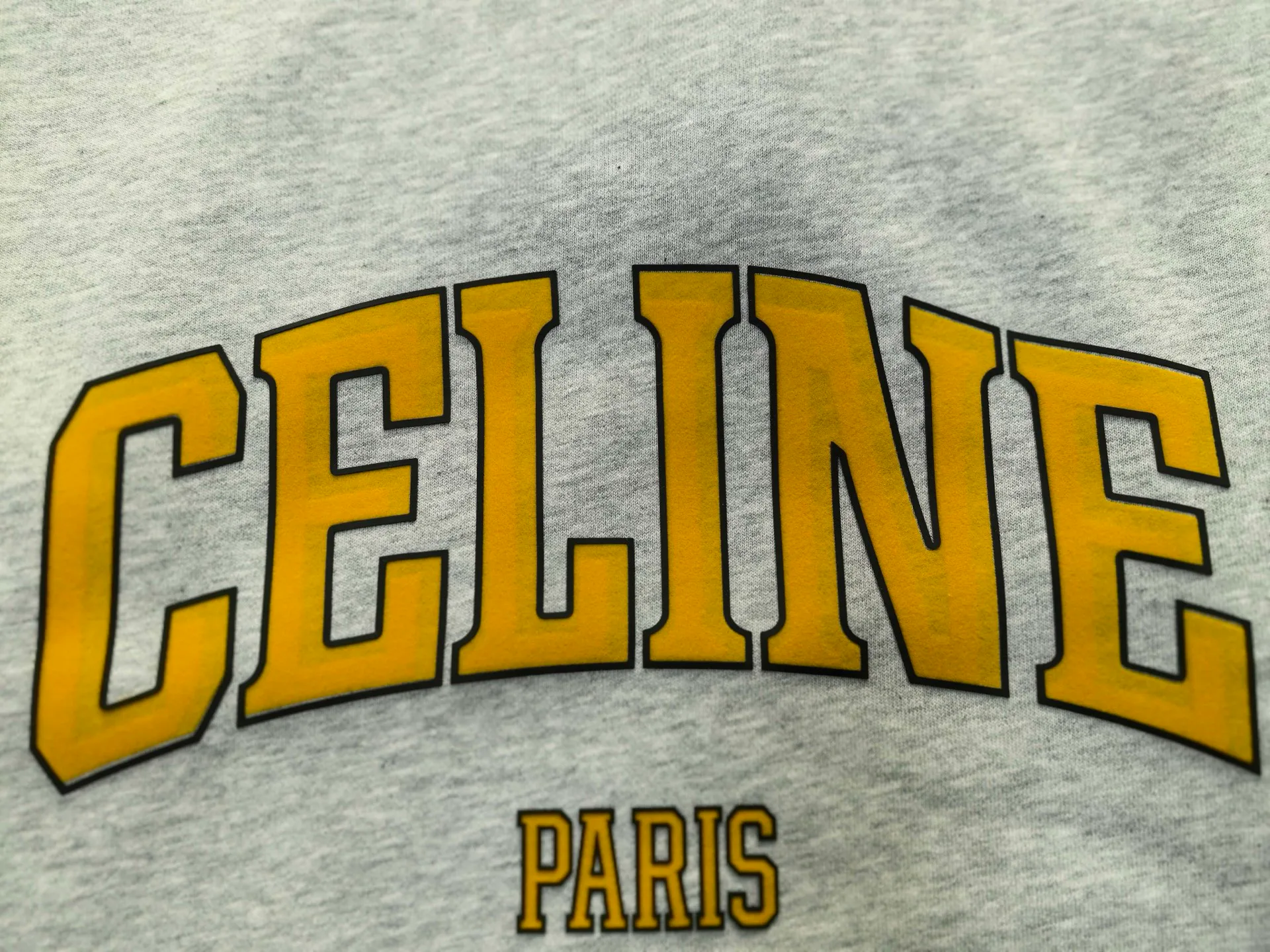 Свитшоты И Худи Женские Celine 18247056