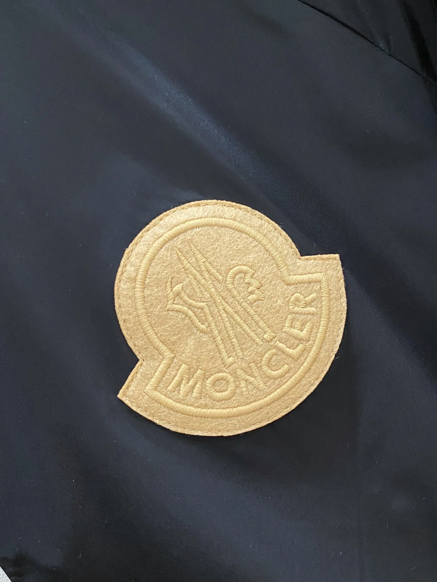 Куртки И Пуховики Мужские Moncler 11664804