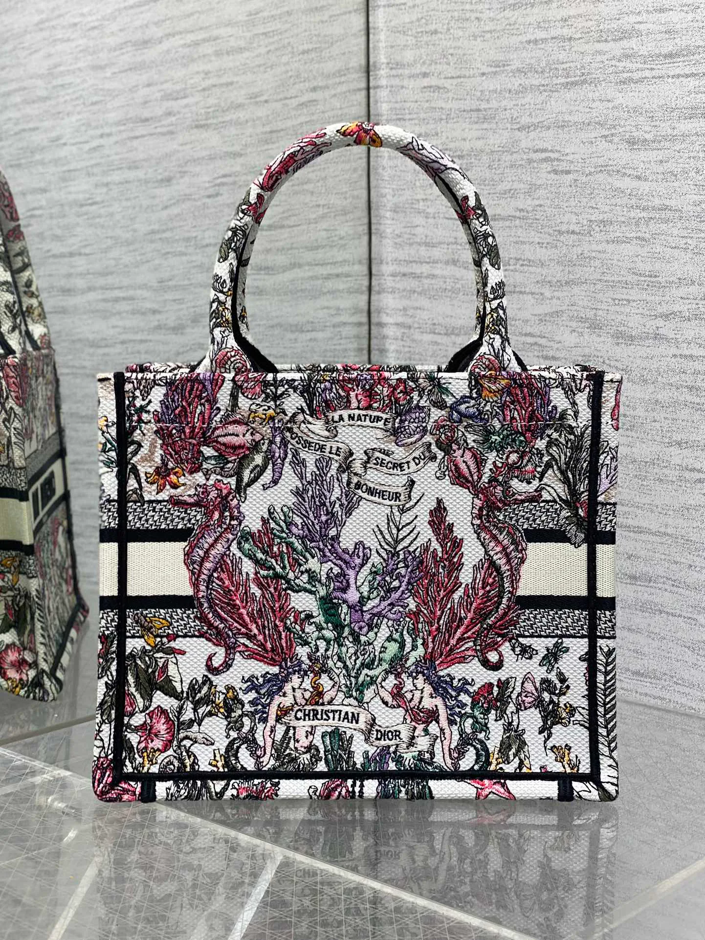 Классические Сумки Женские Christian Dior 13227214