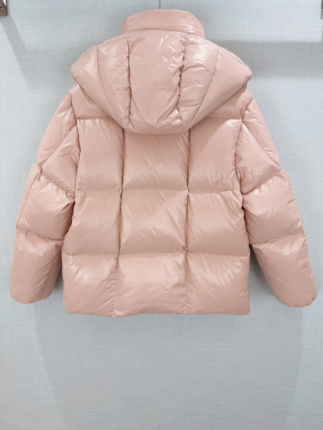 Куртки И Пуховики Женские Moncler 19162186