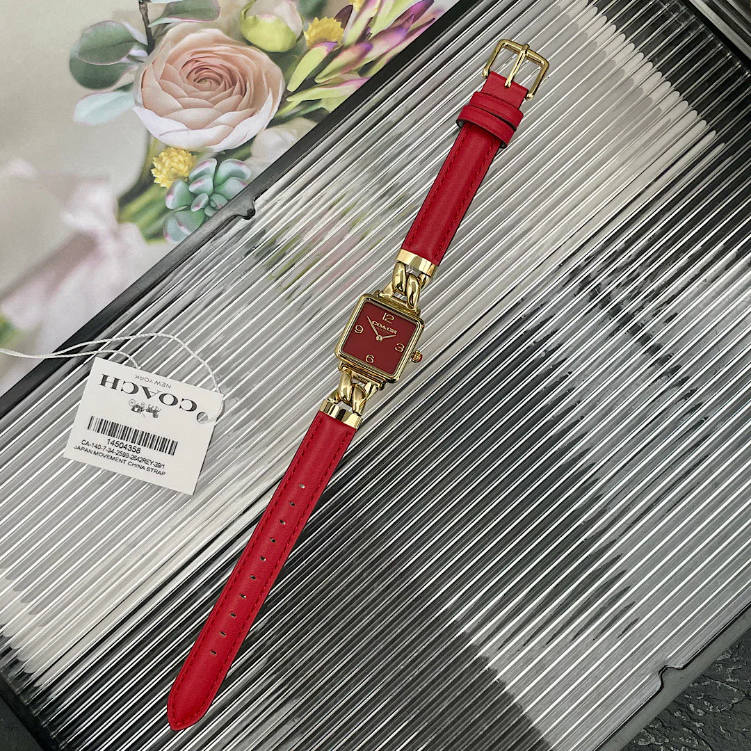 Часы Женские Coach 9177781