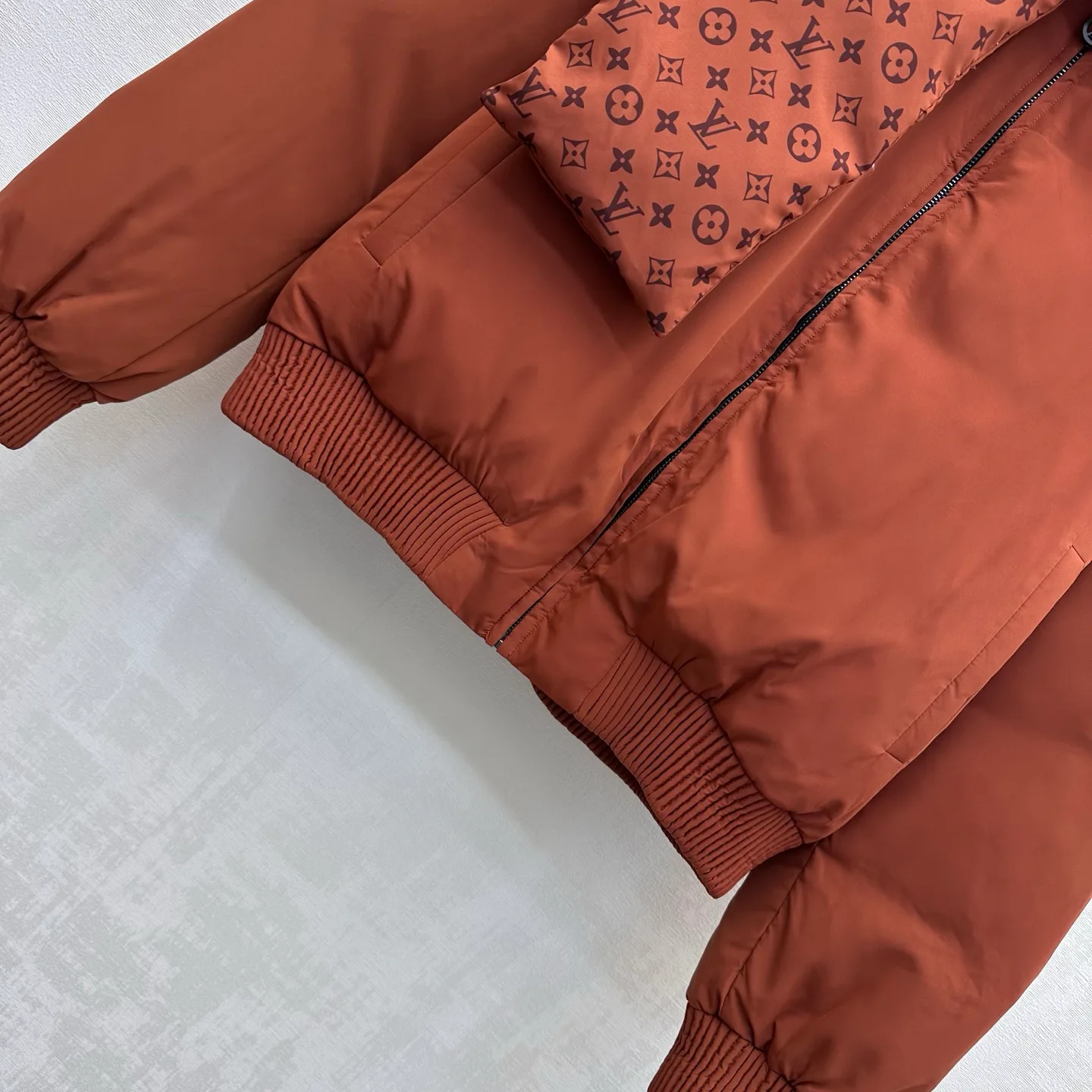 Куртки И Пуховики Женские Louis Vuitton 19057946