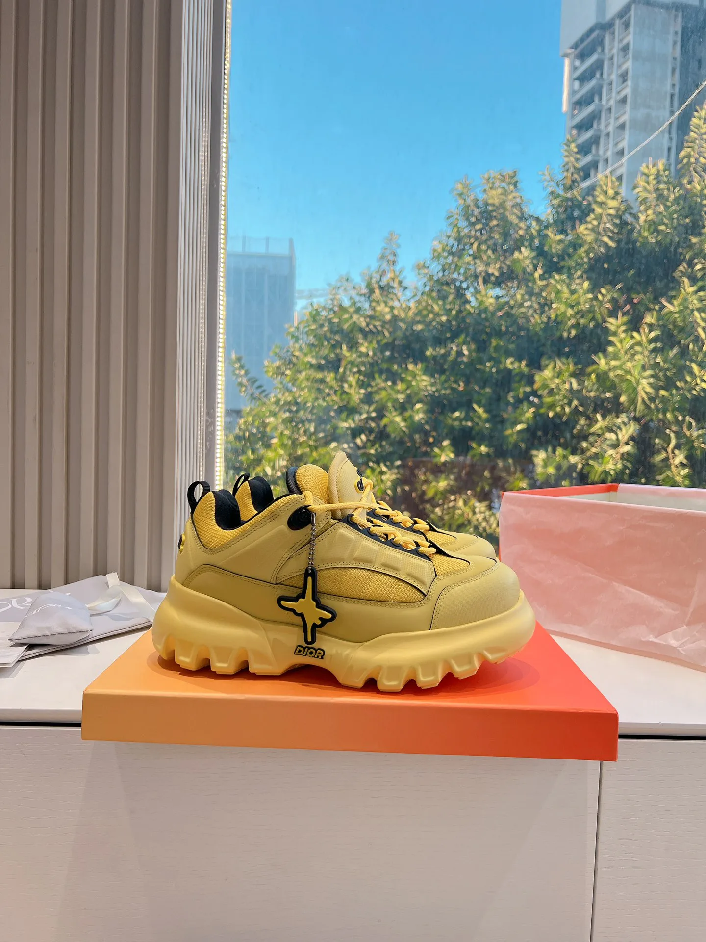 Кроссовки Женские Christian Dior 14433