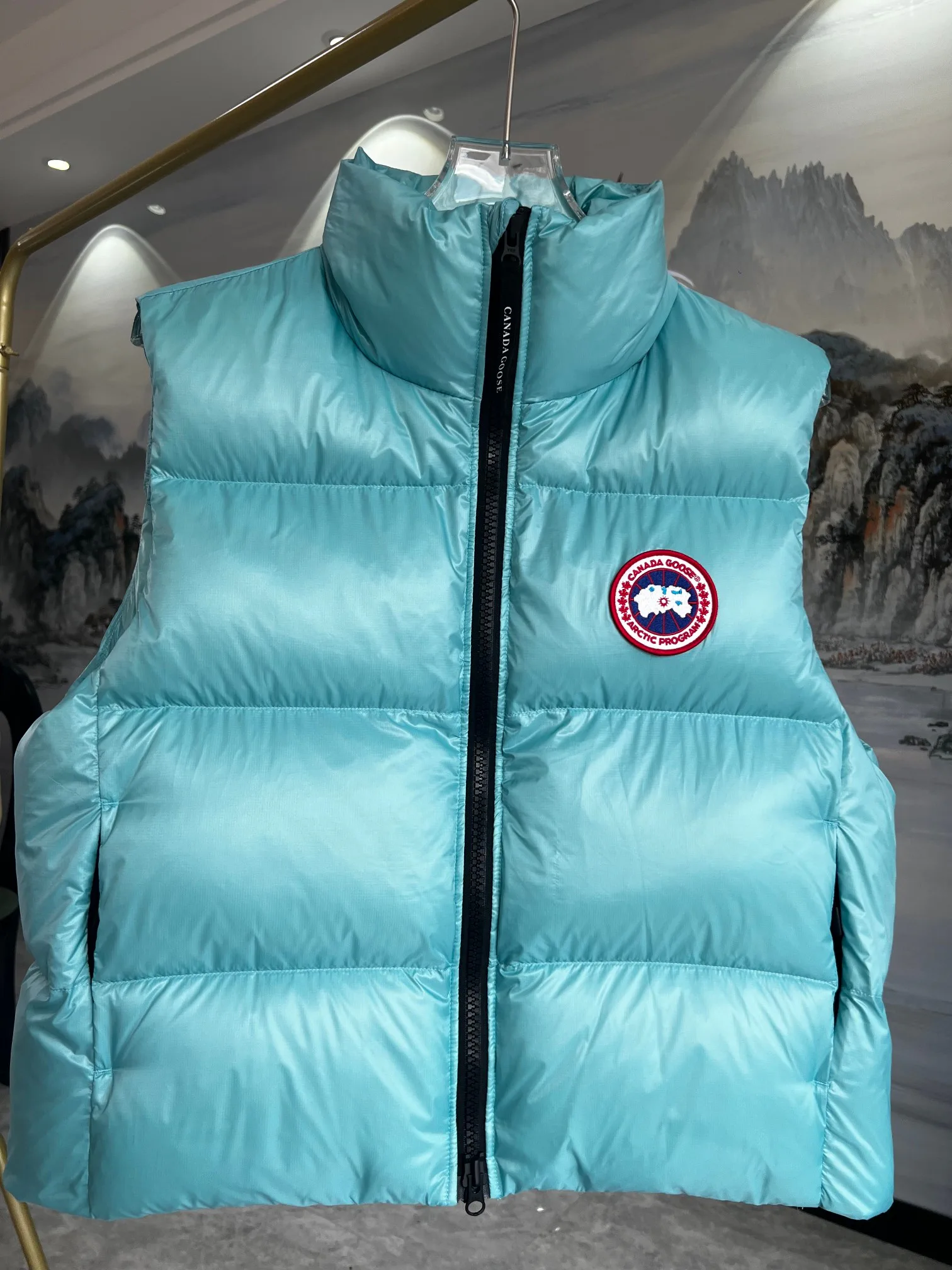 Жилеты Женские Canada Goose 2162185
