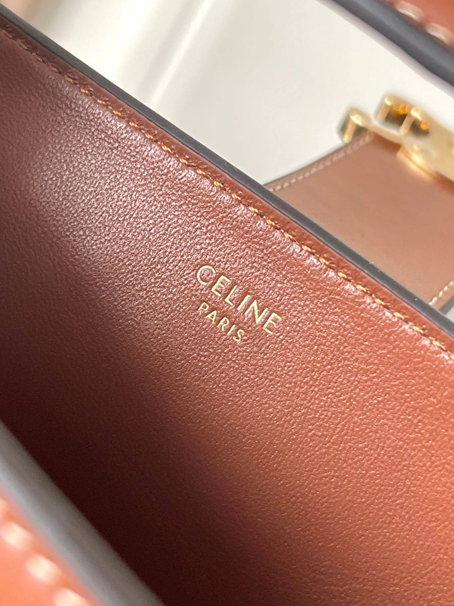 Сумки На Ремне Женские Celine 423822
