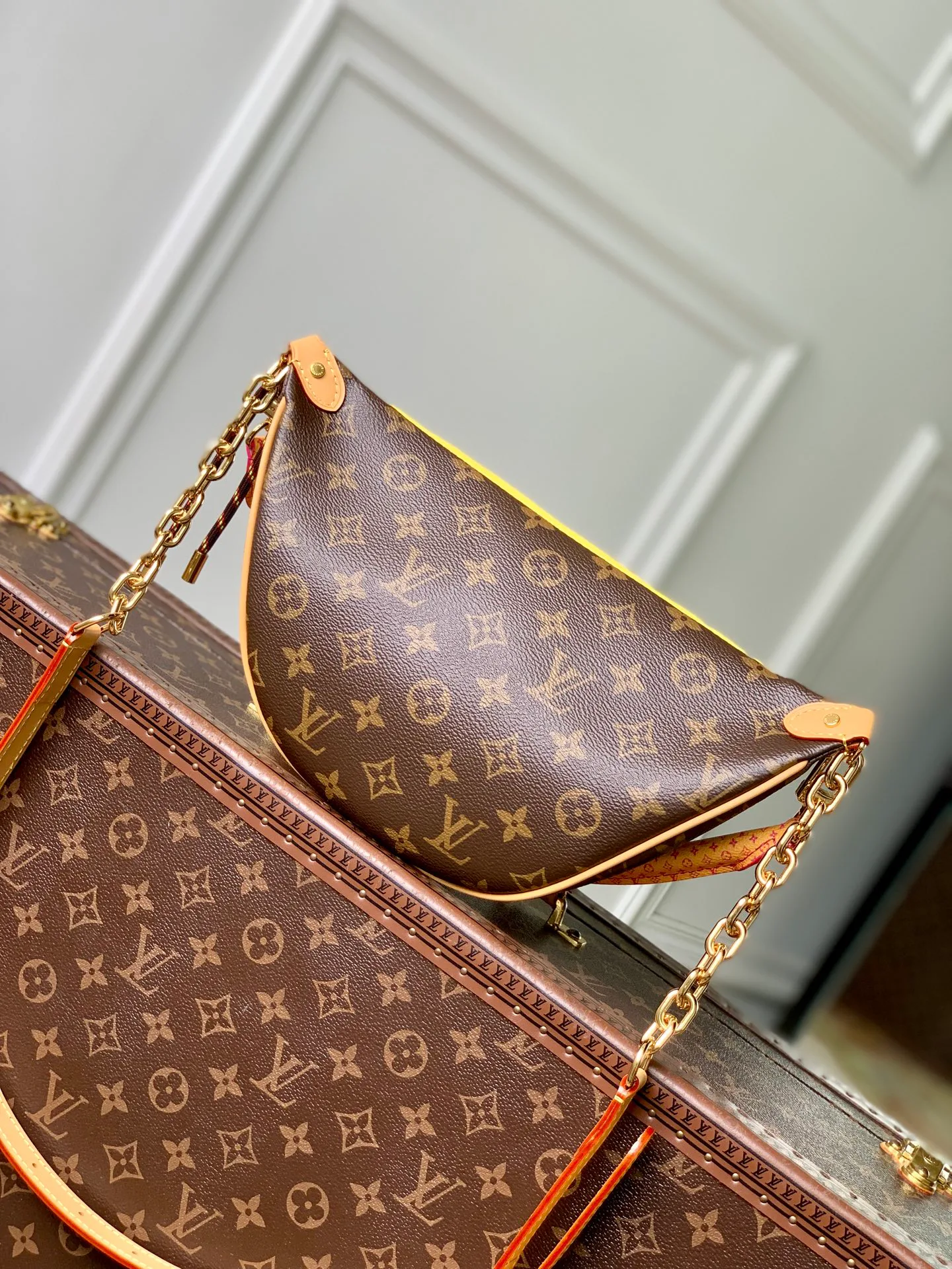Поясные Сумки Женские Louis Vuitton 13833563
