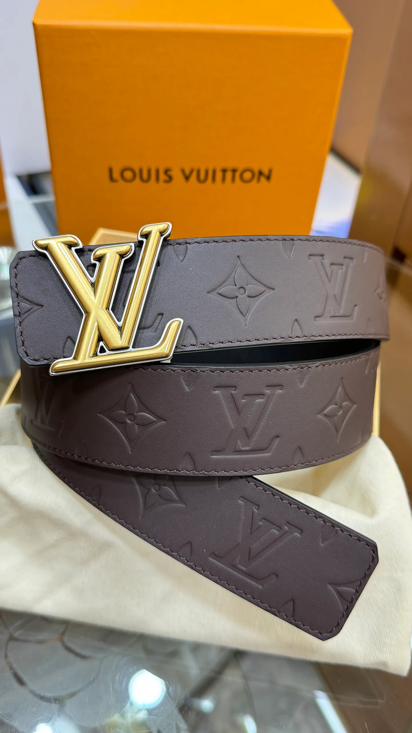 Поясные Сумки Женские Louis Vuitton 10754619