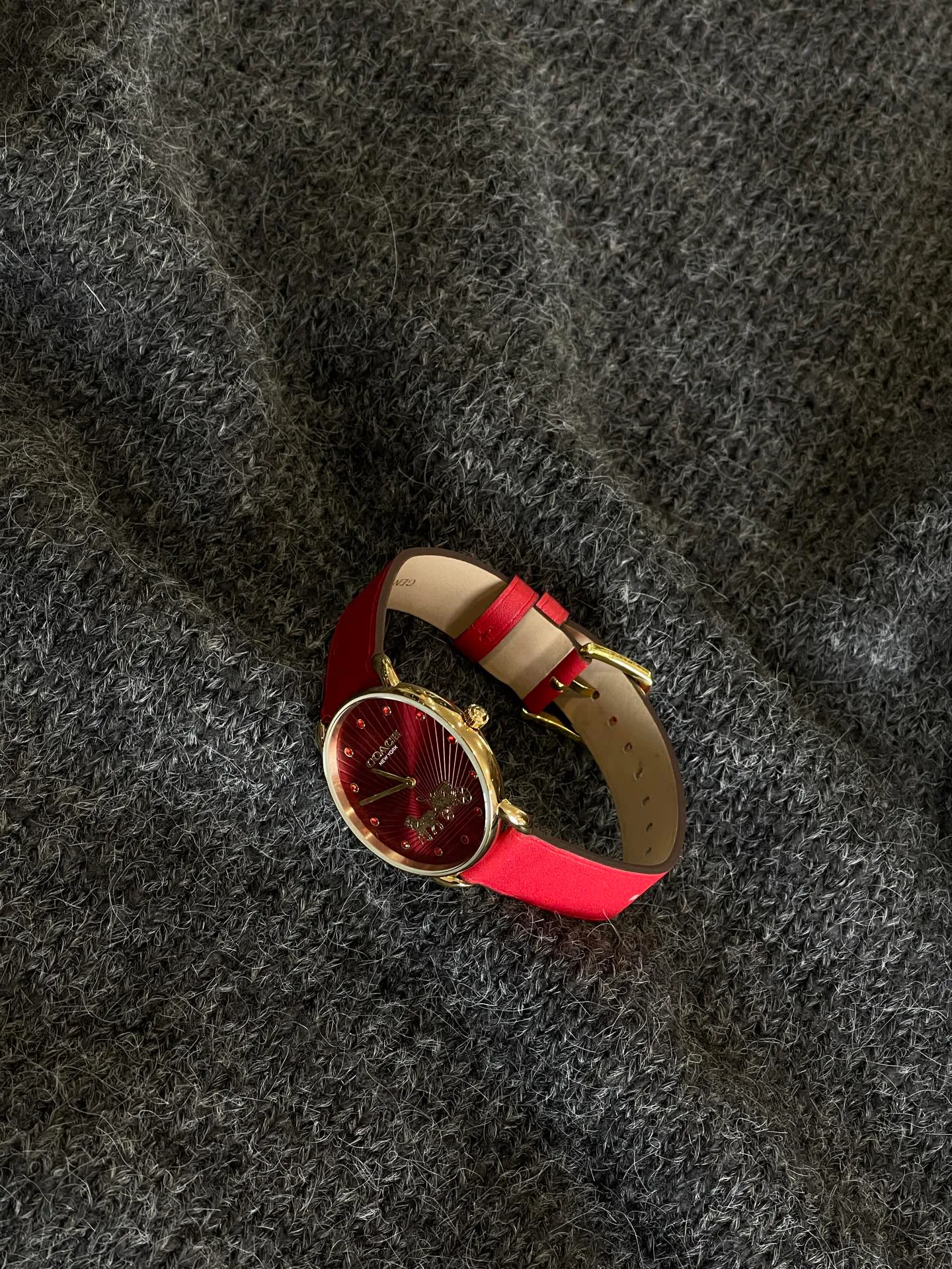 Часы Женские Coach 3409378