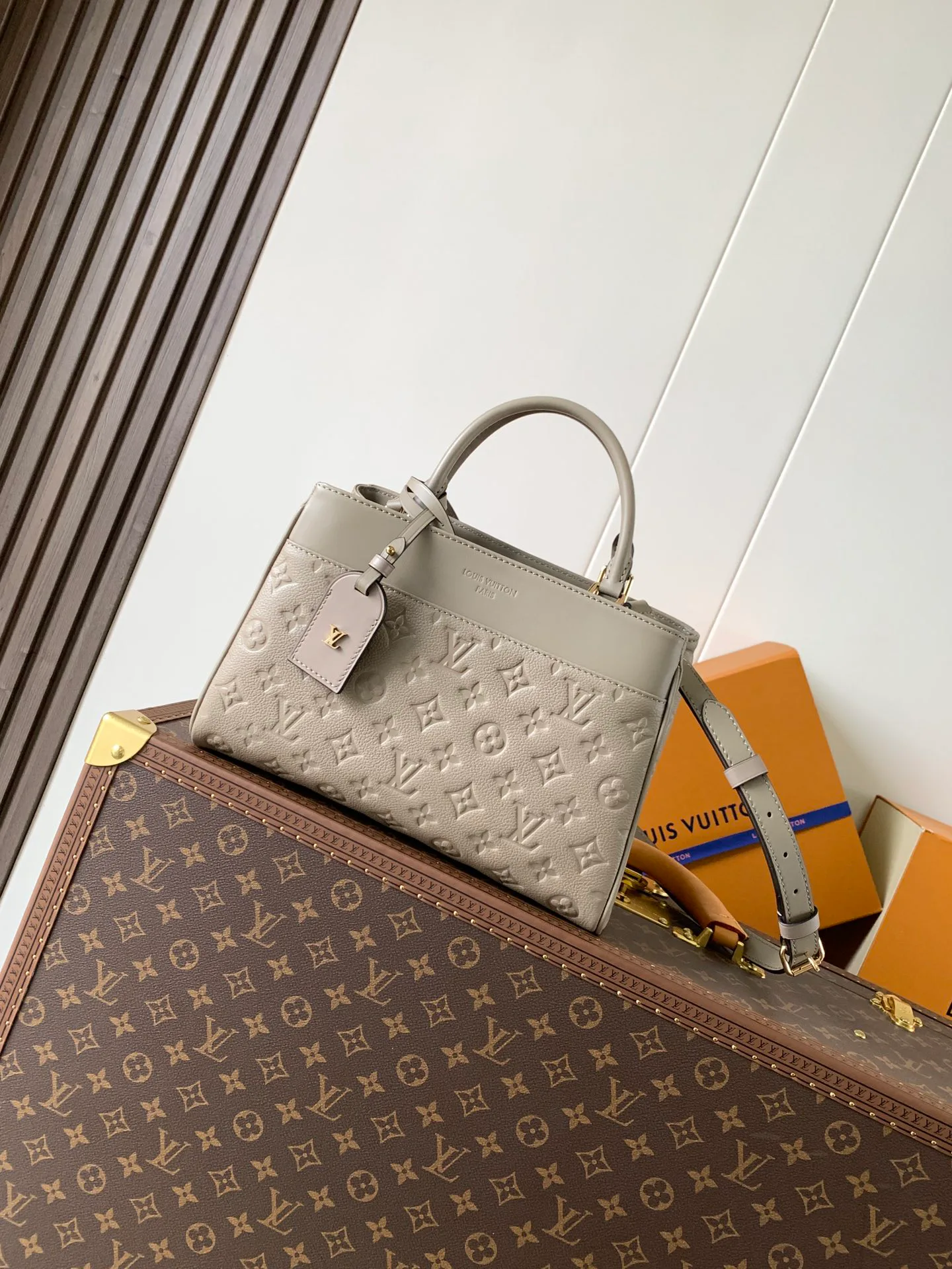 Классические Сумки Женские Louis Vuitton 17796558