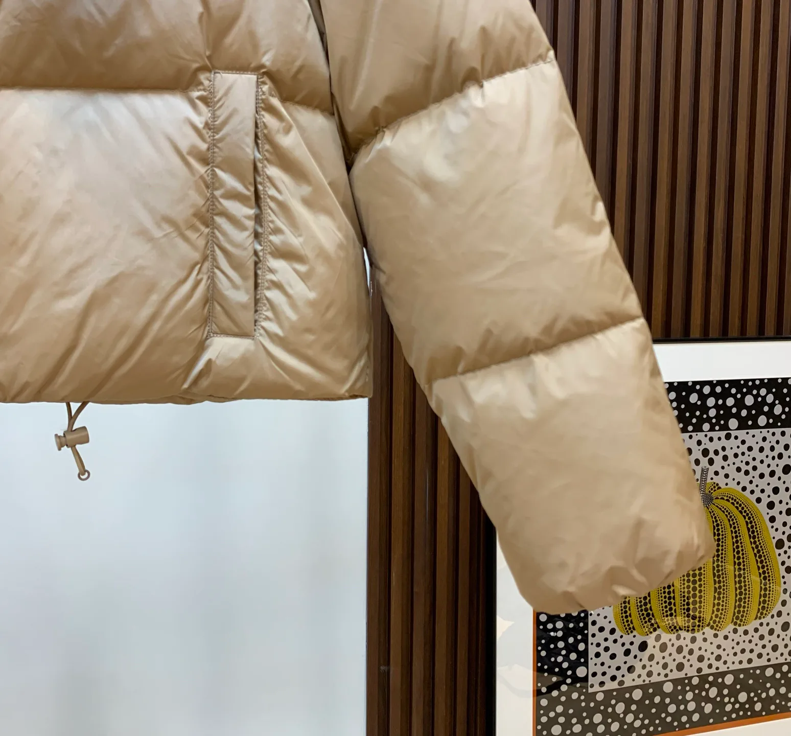 Куртки И Пуховики Женские Miu Miu 1373316