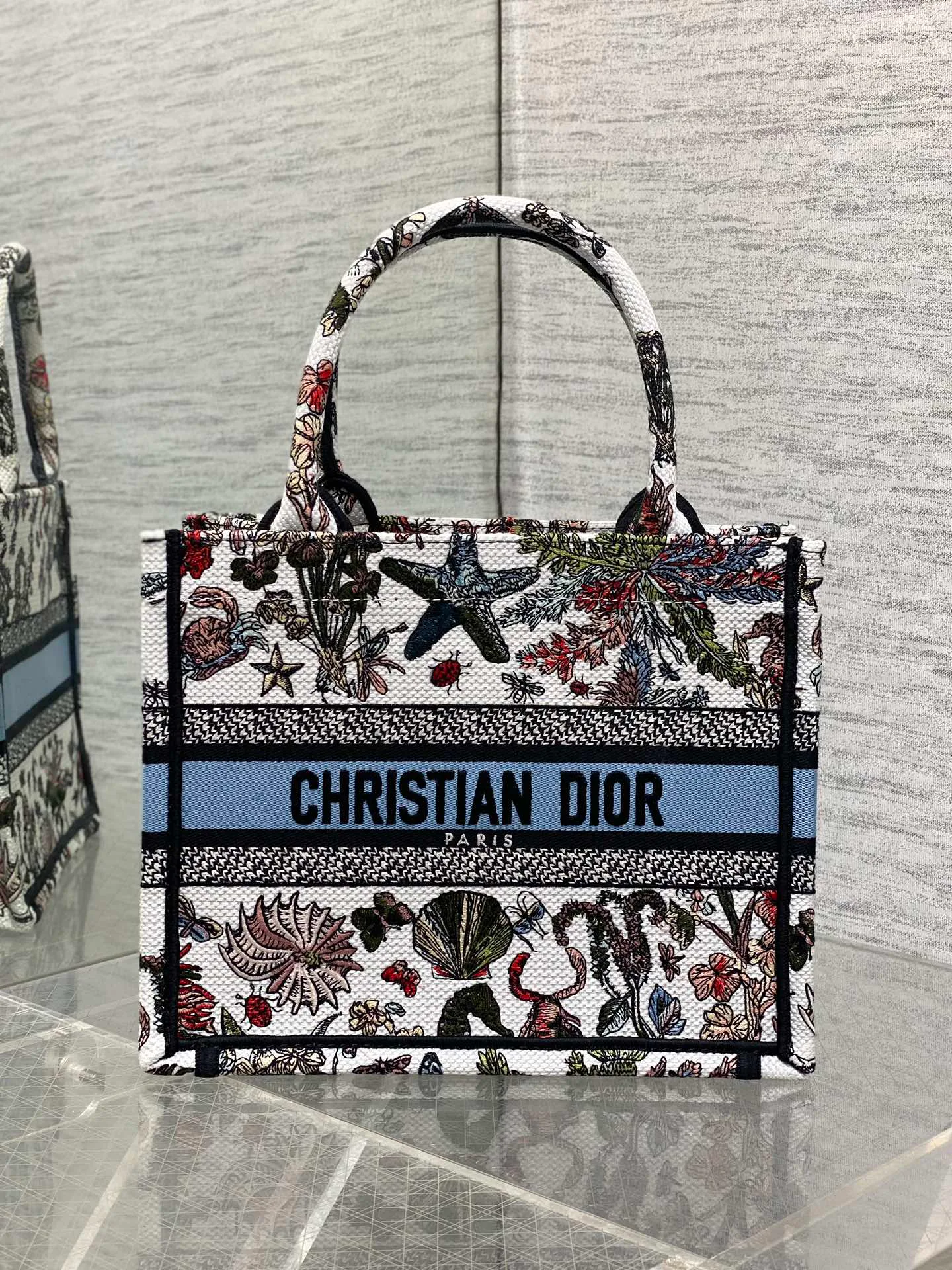 Классические Сумки Женские Christian Dior 13227196