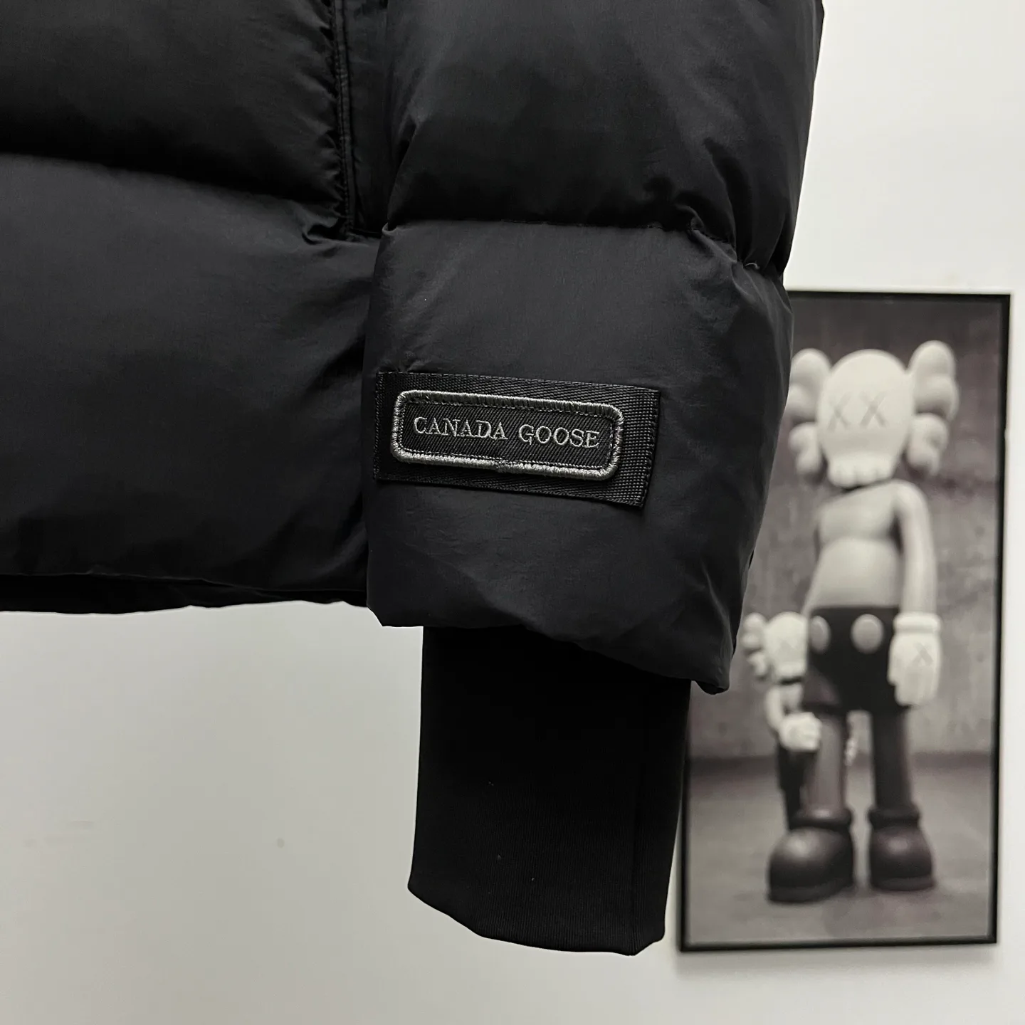 Куртки И Пуховики Женские Canada Goose 18741207