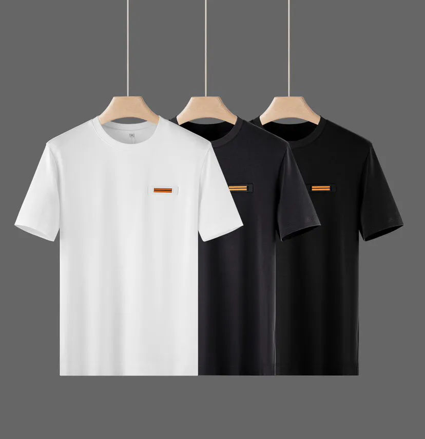 Футболки Мужские Zegna 13169817