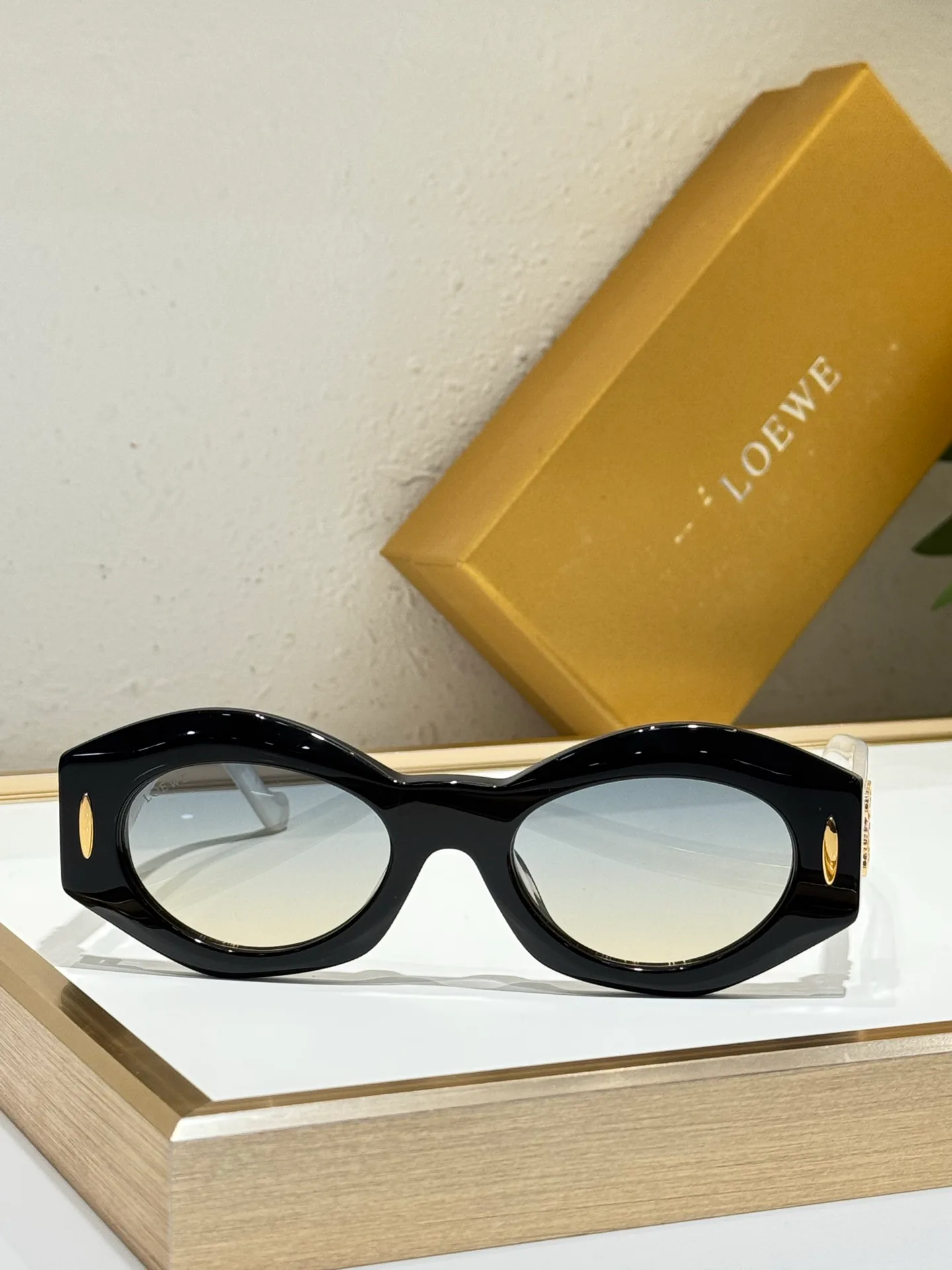 Очки Loewe 175110