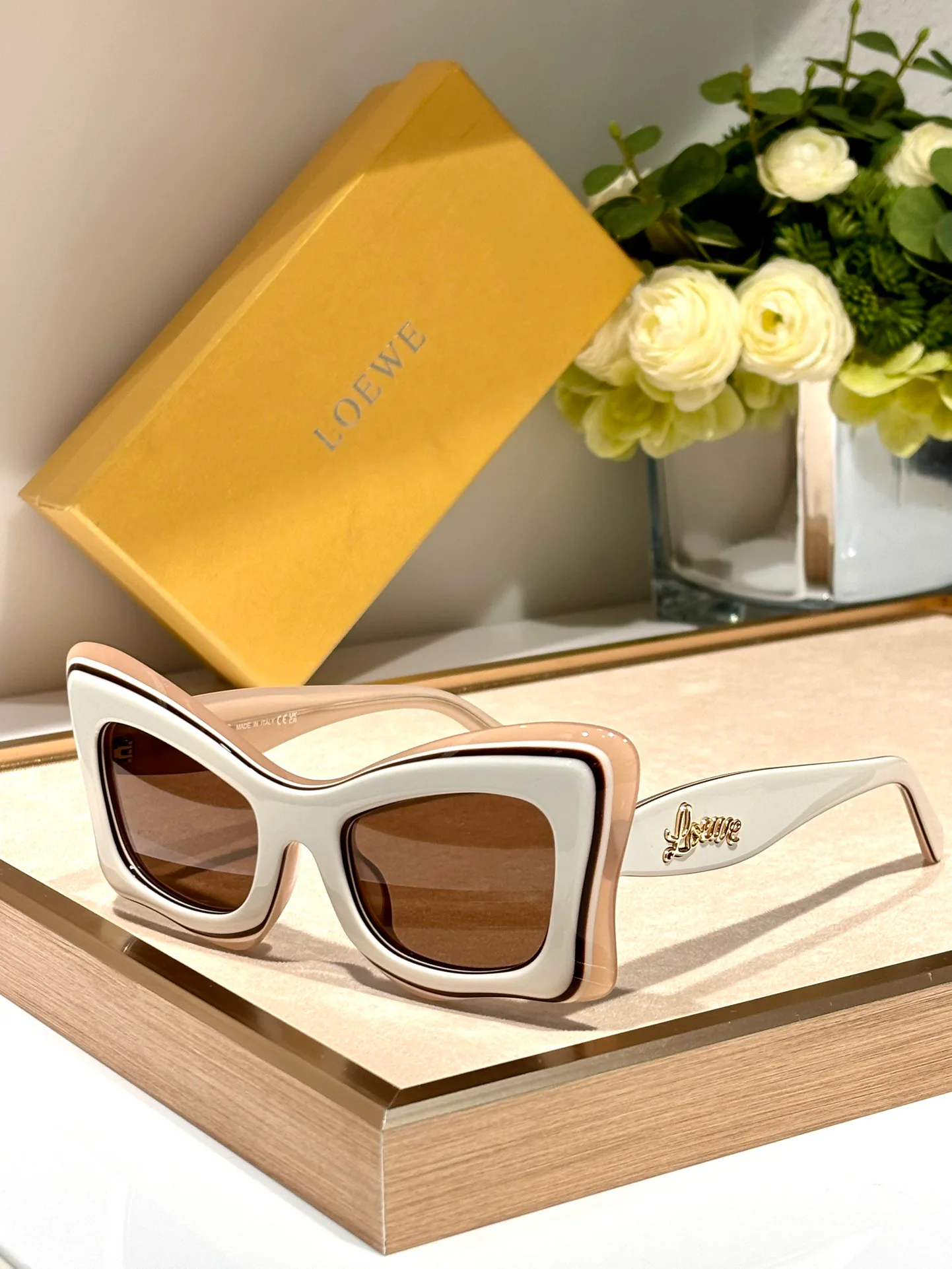 Очки Loewe 1241683