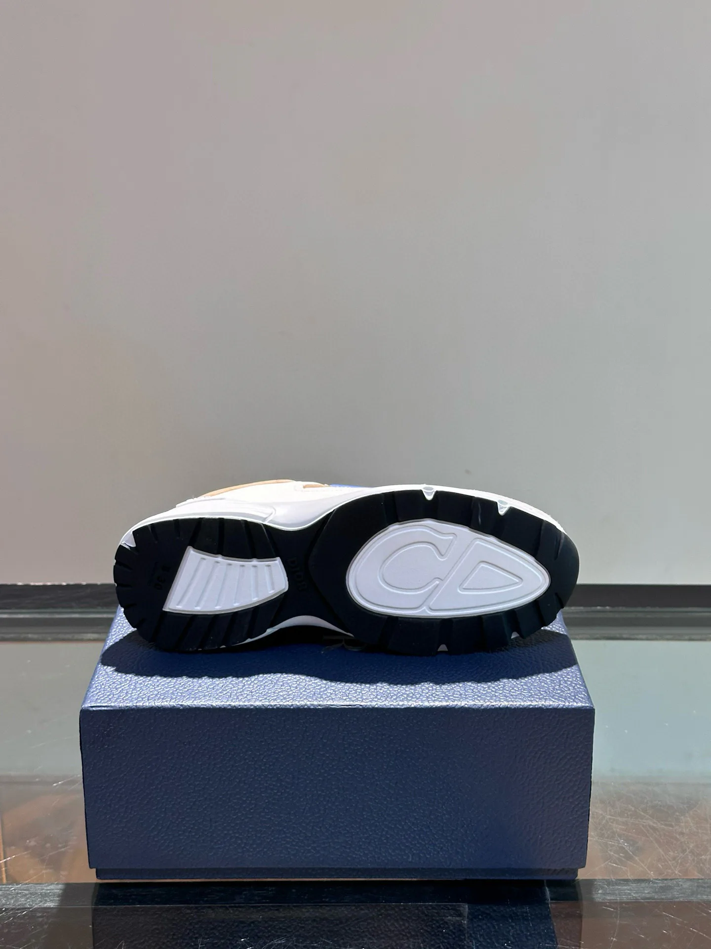 Кроссовки Мужские Christian Dior 160417