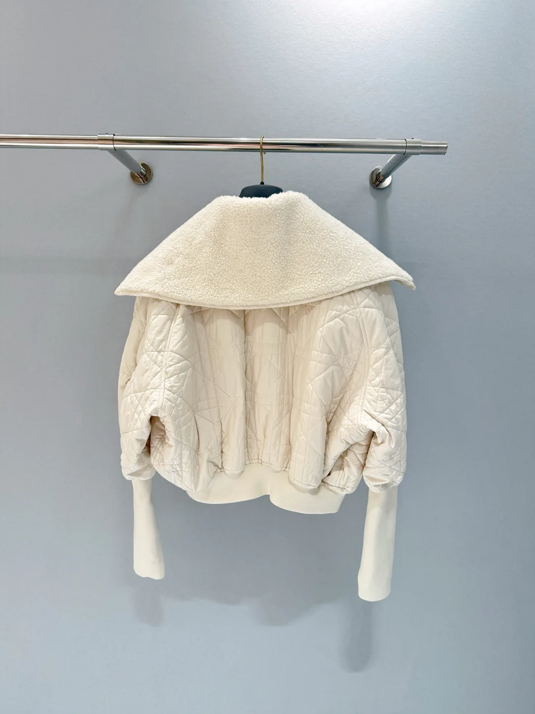 Куртки И Пуховики Женские Christian Dior 96294