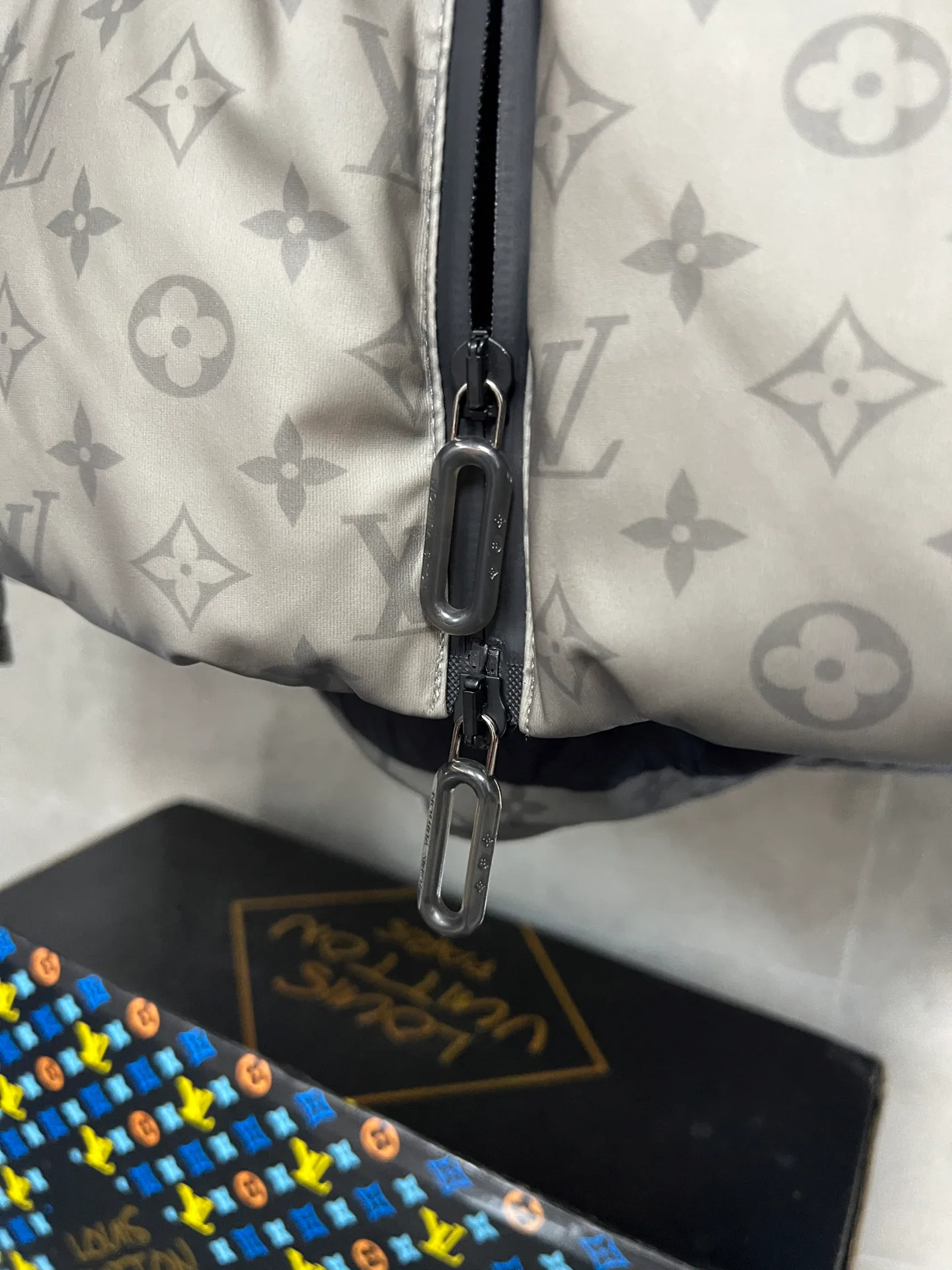 Куртки И Пуховики Мужские Louis Vuitton 493301