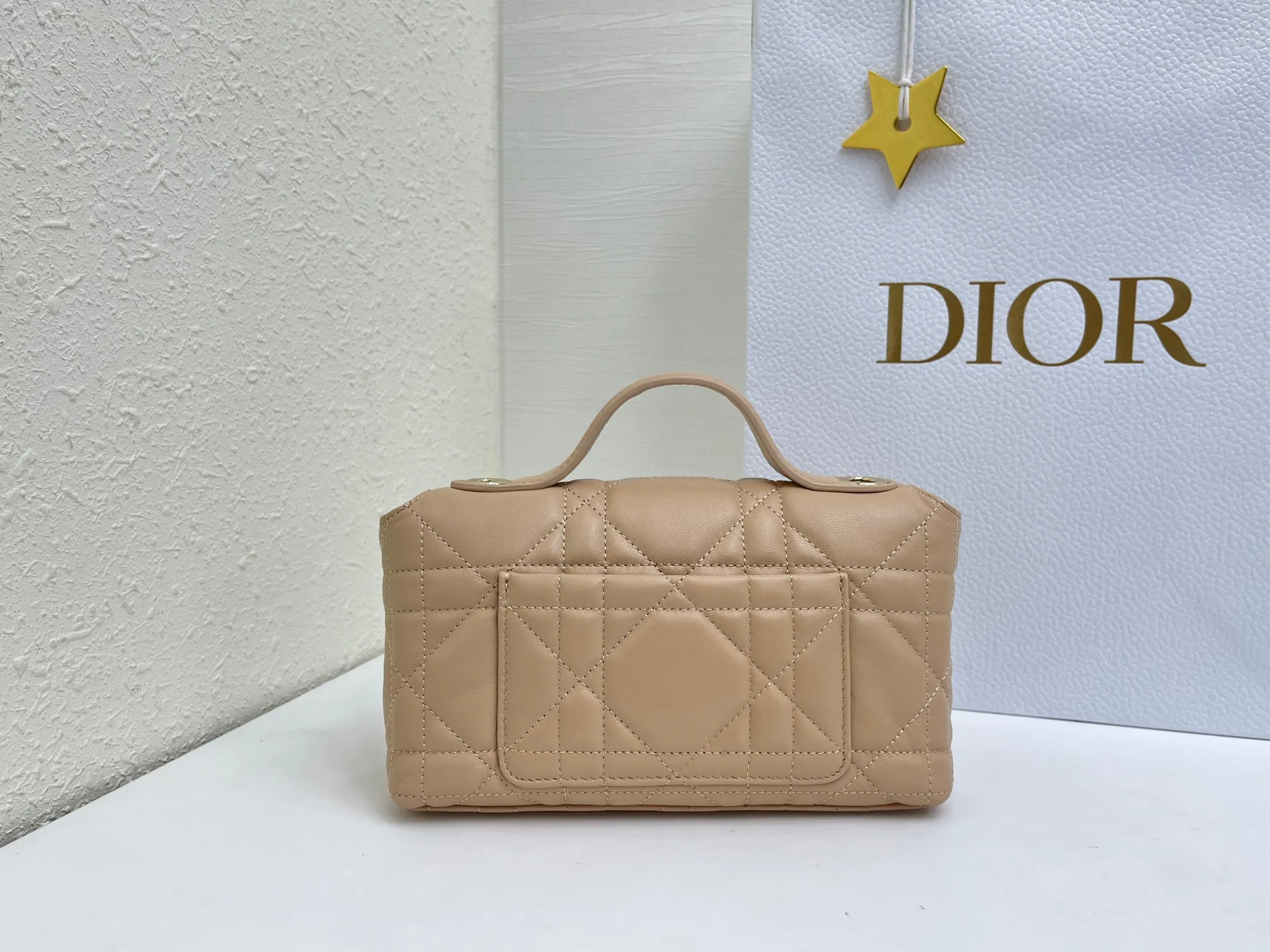 Классические Сумки Женские Christian Dior 17463901