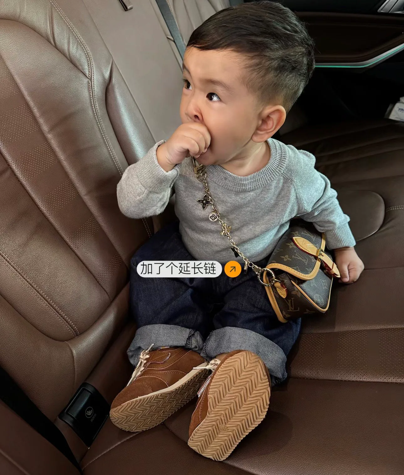 Классические Сумки Женские Louis Vuitton 11564824