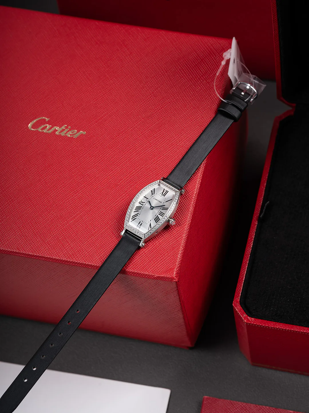 Часы Женские Cartier 11696042